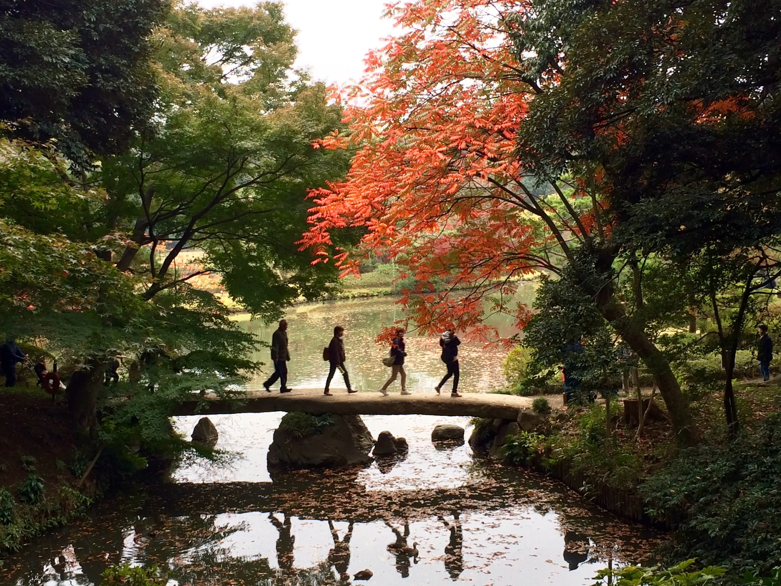 Rikugien Park // Tokyo, Japan