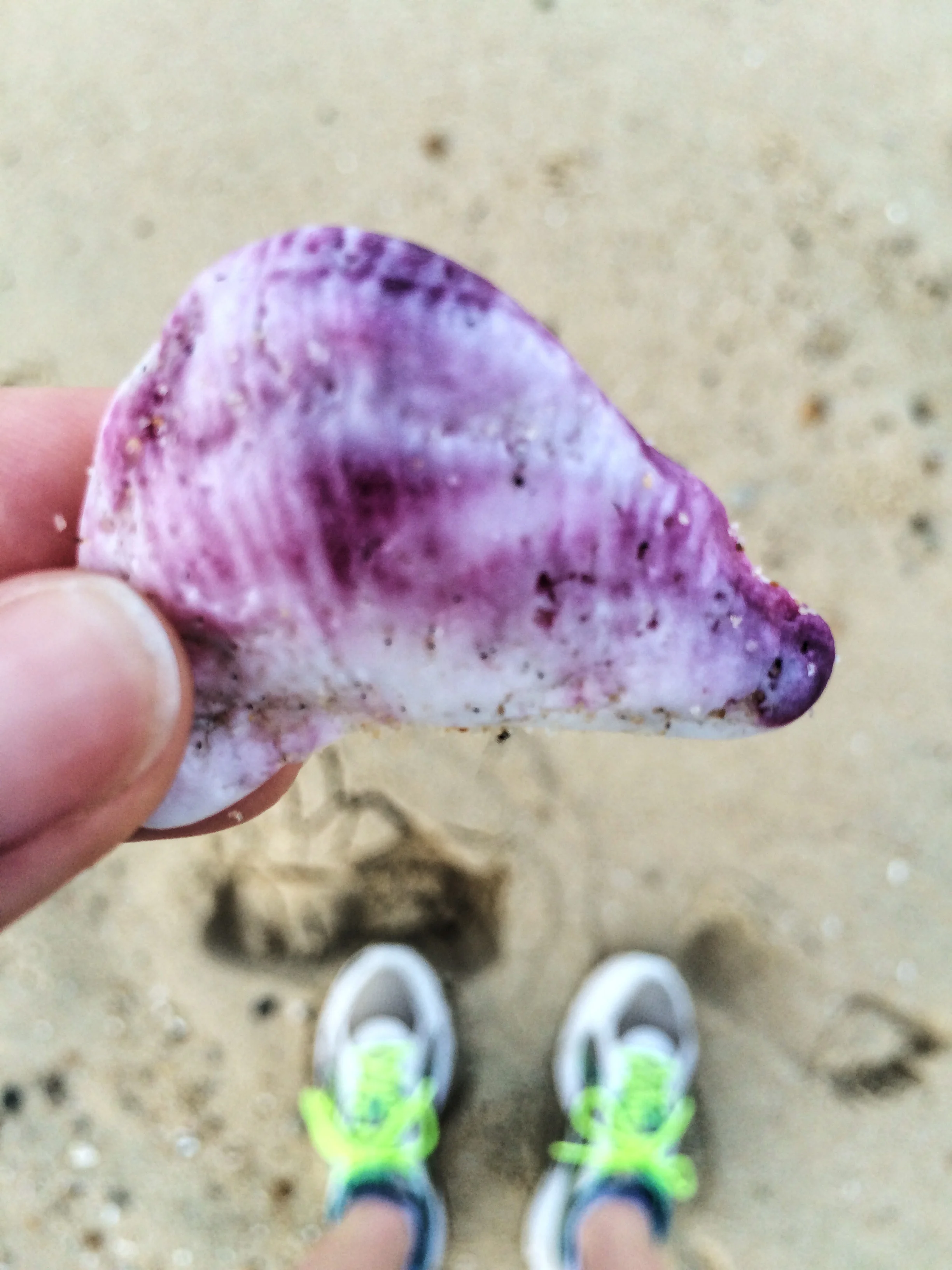 Treasures from my beach runs. 