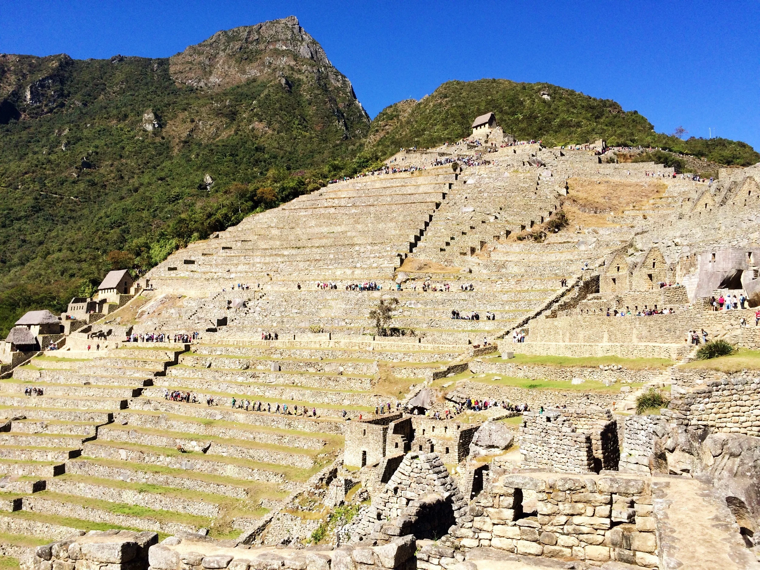 Machu Picchu! Look at all the little rows of people!