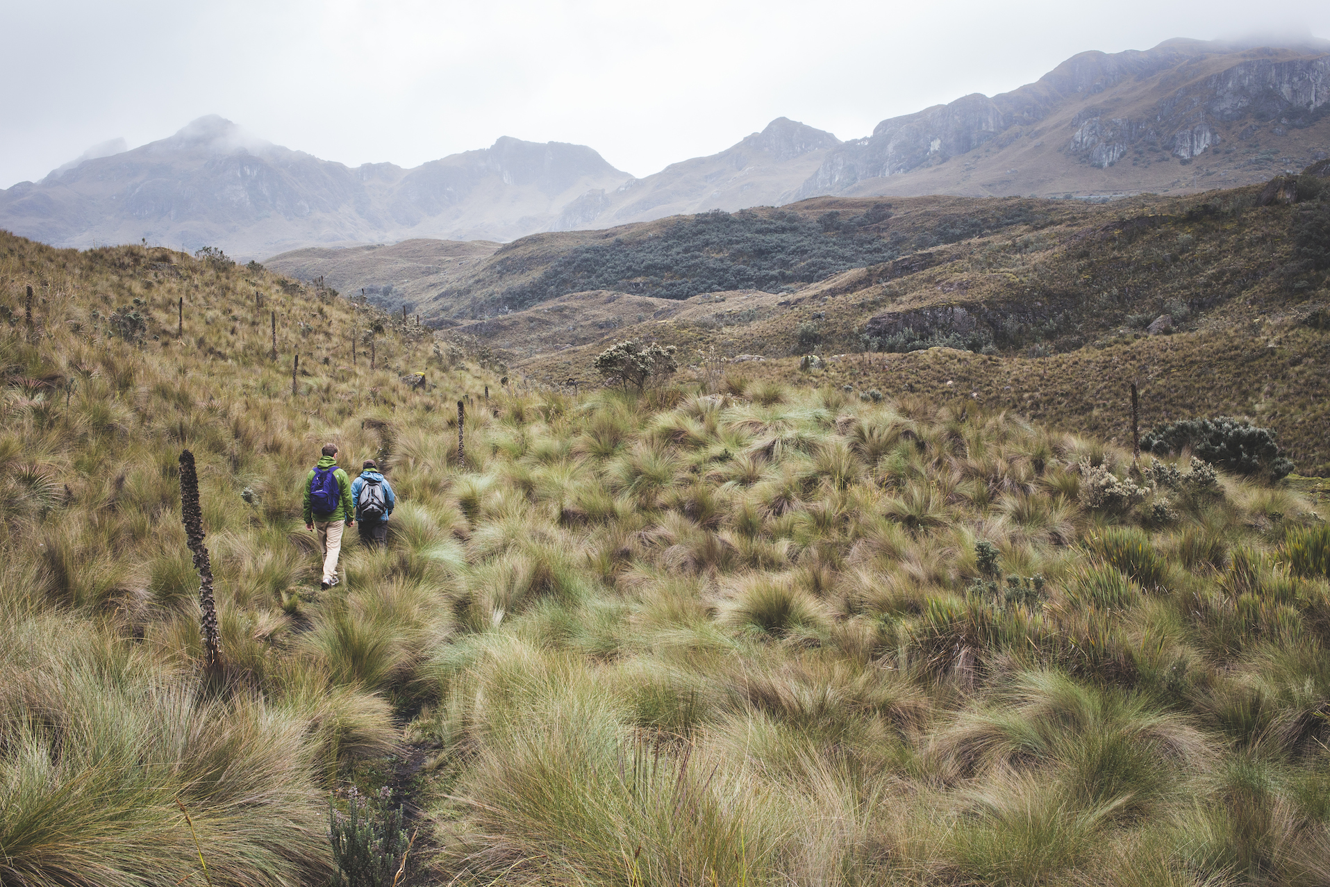 Ecuador-19.jpg