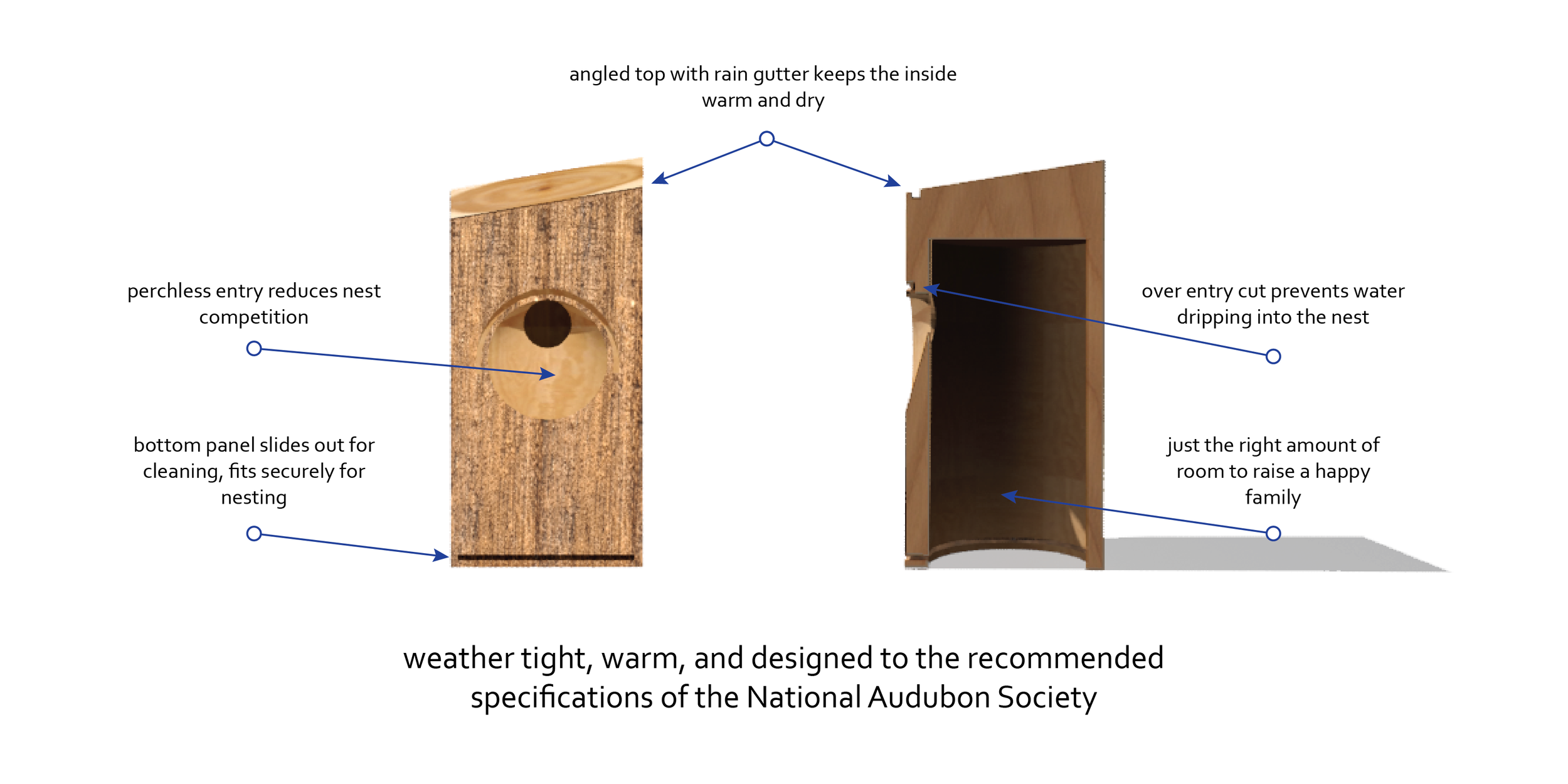 post box : eastern bluebird