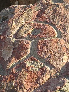 Image taken from Wikipedia