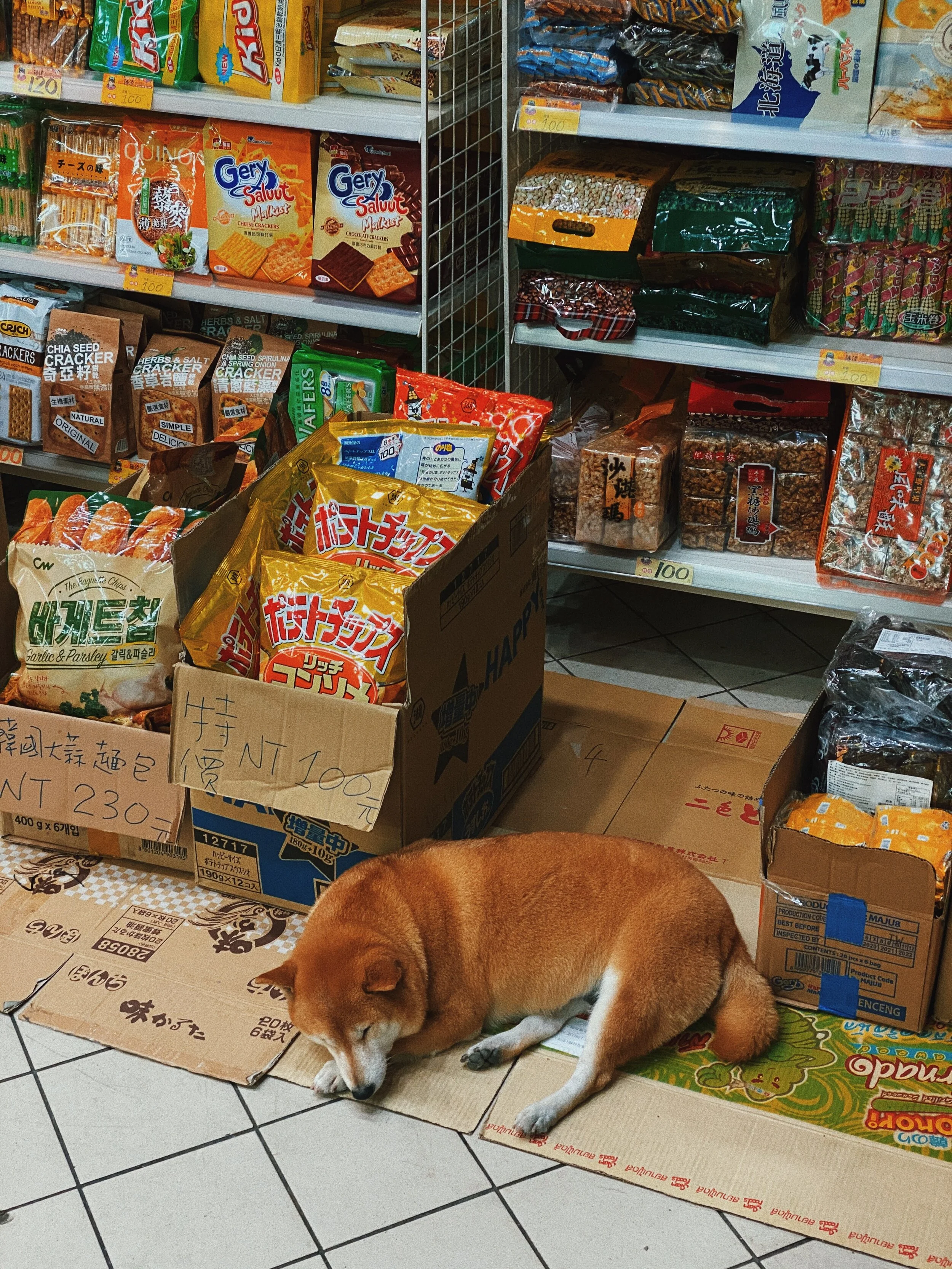 Hoori, Te Paea Hunt 2020-02-17 Keelung, Taiwan 001.JPG