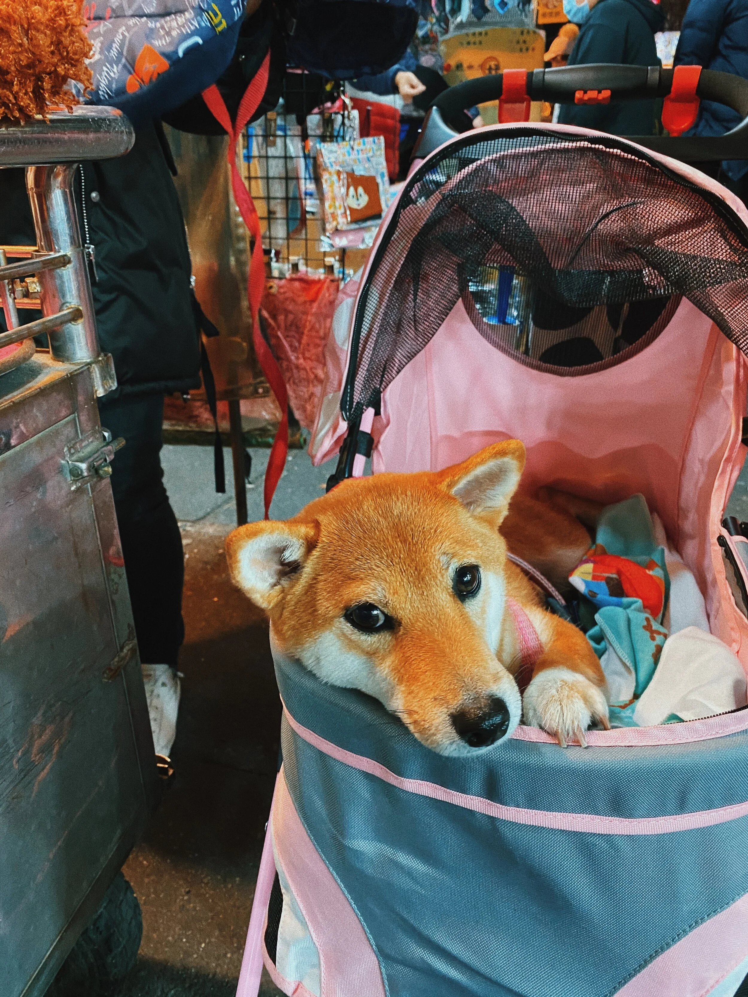 Hoori, Te Paea Hunt 2020-02-17 Keelung, Taiwan 006.JPG