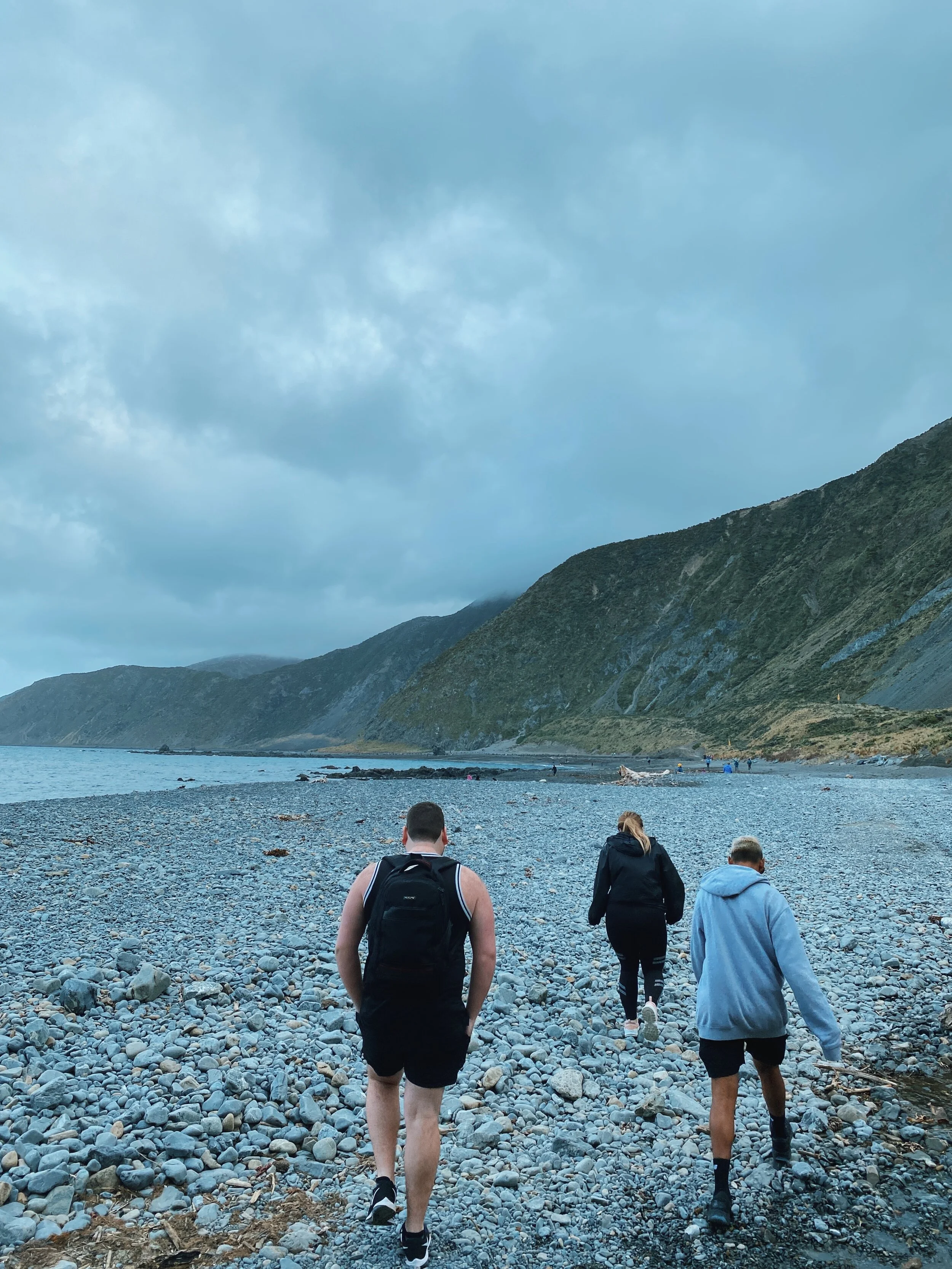 Hoori, Te Paea Hunt 2020-05-23 Red Rocks, Wellington 001.JPG