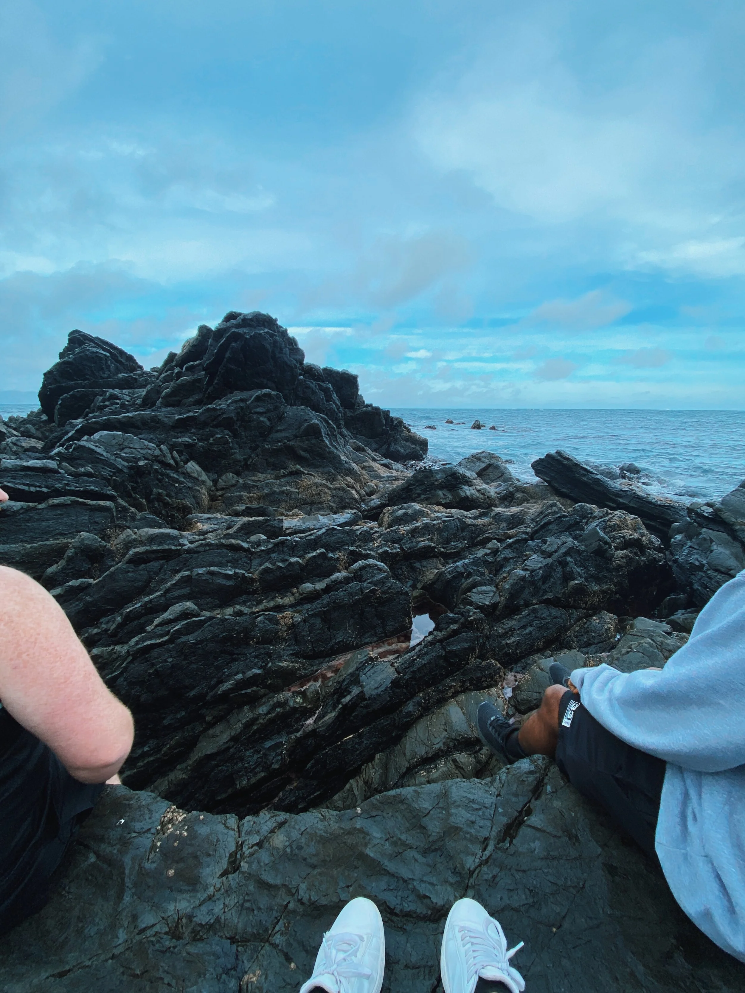 Hoori, Te Paea Hunt 2020-05-23 Red Rocks, Wellington 004.JPG