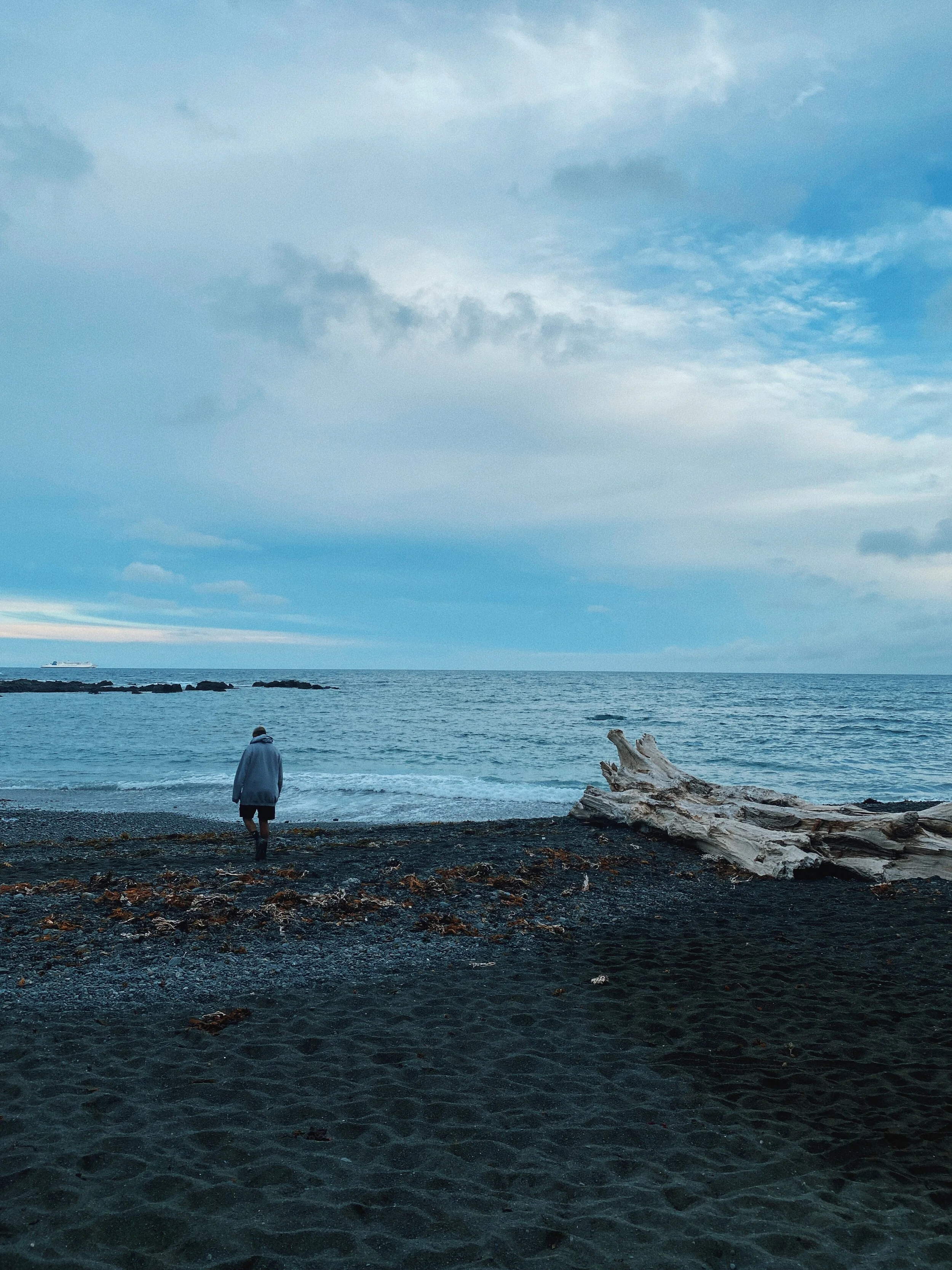 Hoori, Te Paea Hunt 2020-05-23 Red Rocks, Wellington 003.JPG