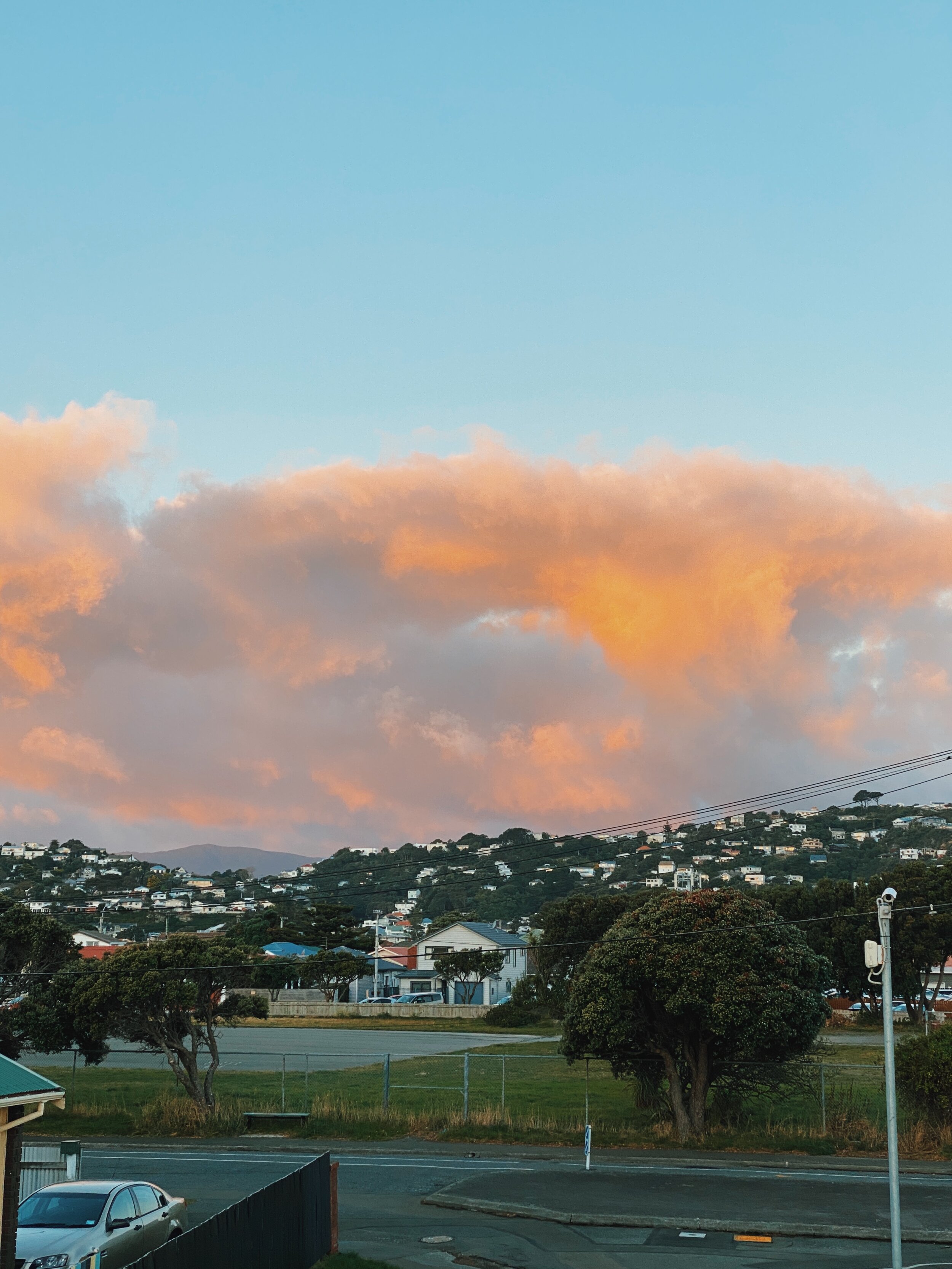 Hoori, Te Paea Hunt 2020-05-19 Miramar 001.JPG