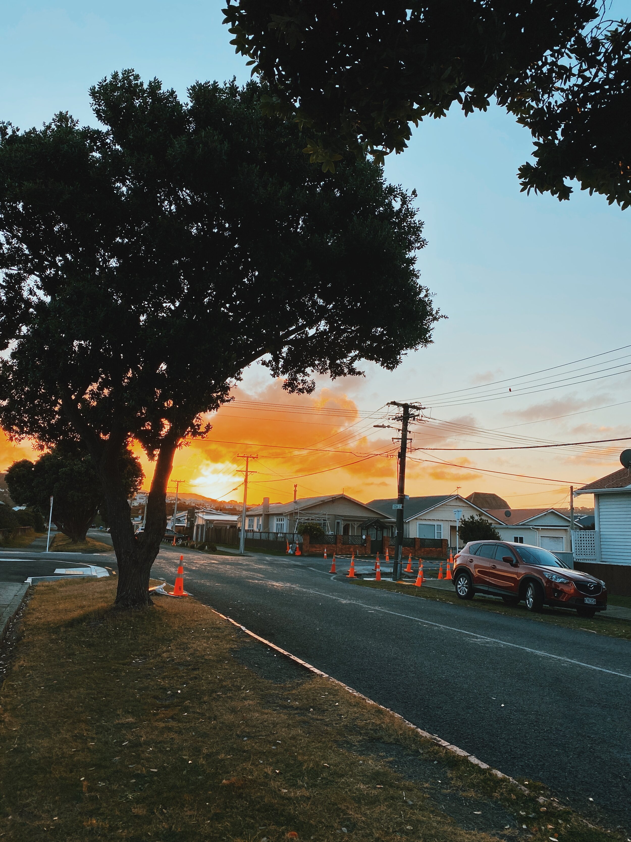 Hoori, Te Paea Hunt 2020-05-19 Miramar 003.JPG