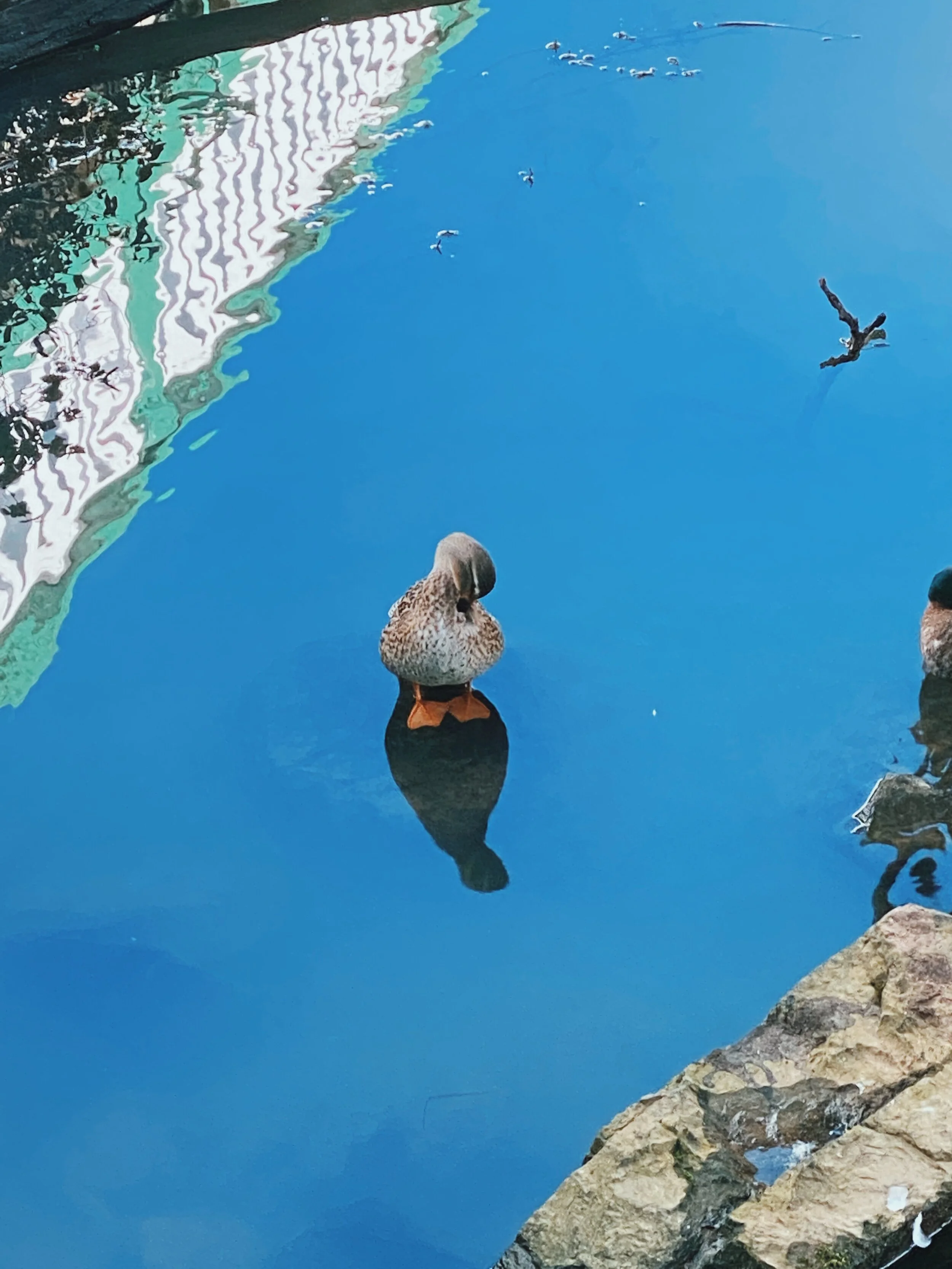 2020-07-11 Walkworth 002.JPG