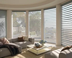 pirouette_powerrisetwoone_livingroom_1-1-2.jpeg