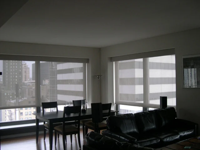 Hunter Douglas Designer Screen Shades