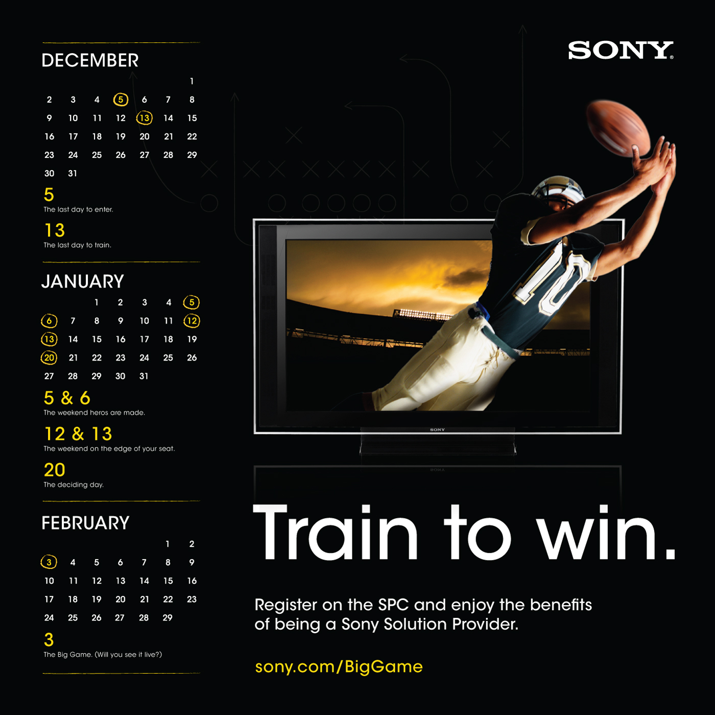 dir_mail_ccr_071026posterside.jpg