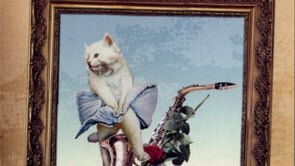 TV CARNAGE - A SORE FOR SIGHTED EYES -  FIRST 7 GLORIOUS MINUTES