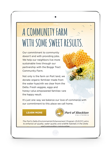 POS_Bee_eBlast_iPad.png