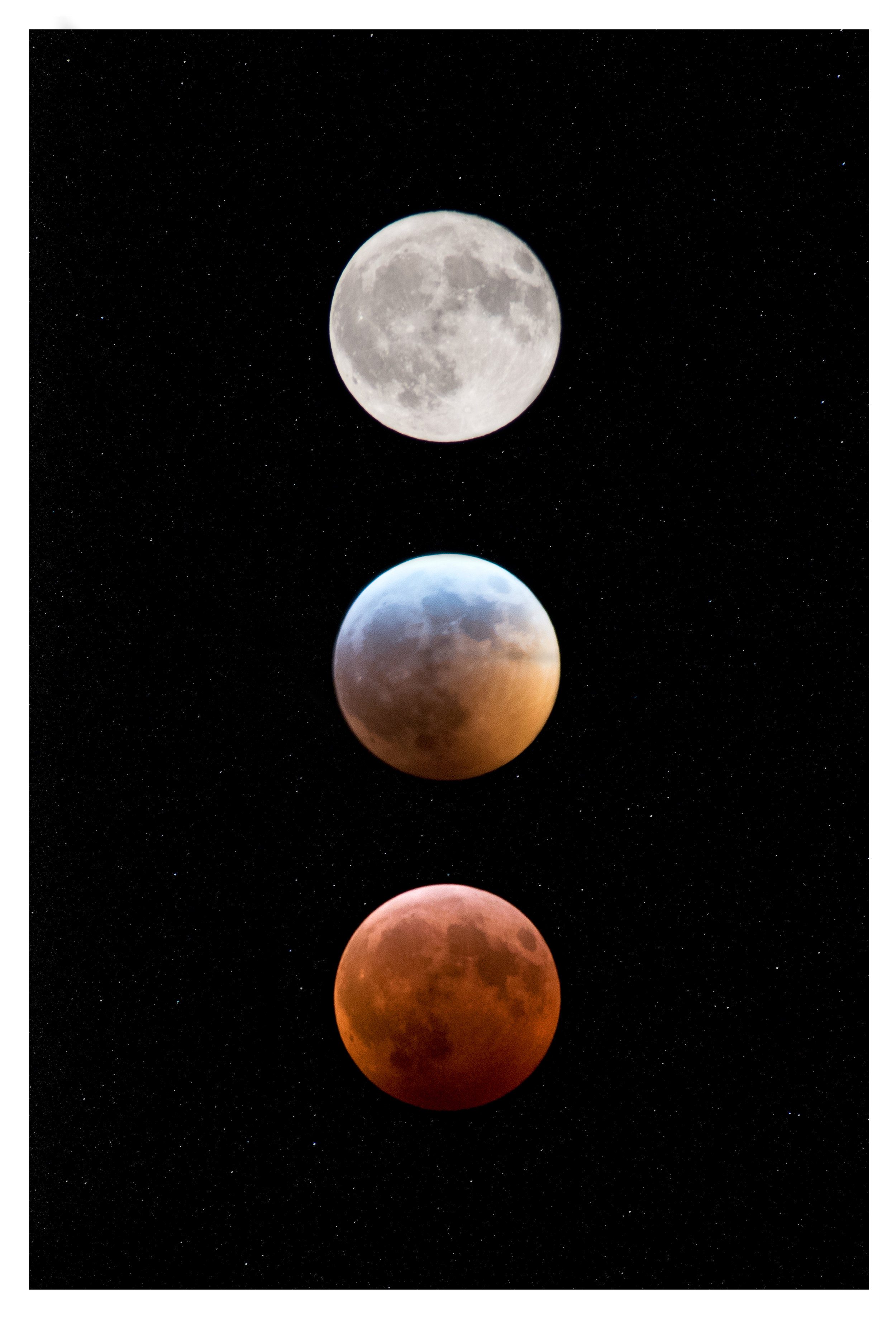 LunarEclipse12x18.jpg