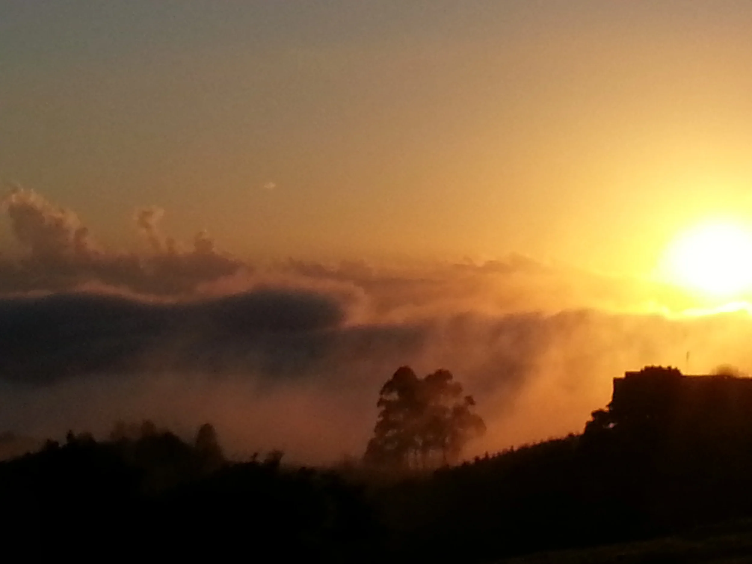 Dawn - Blackall Range, Australia