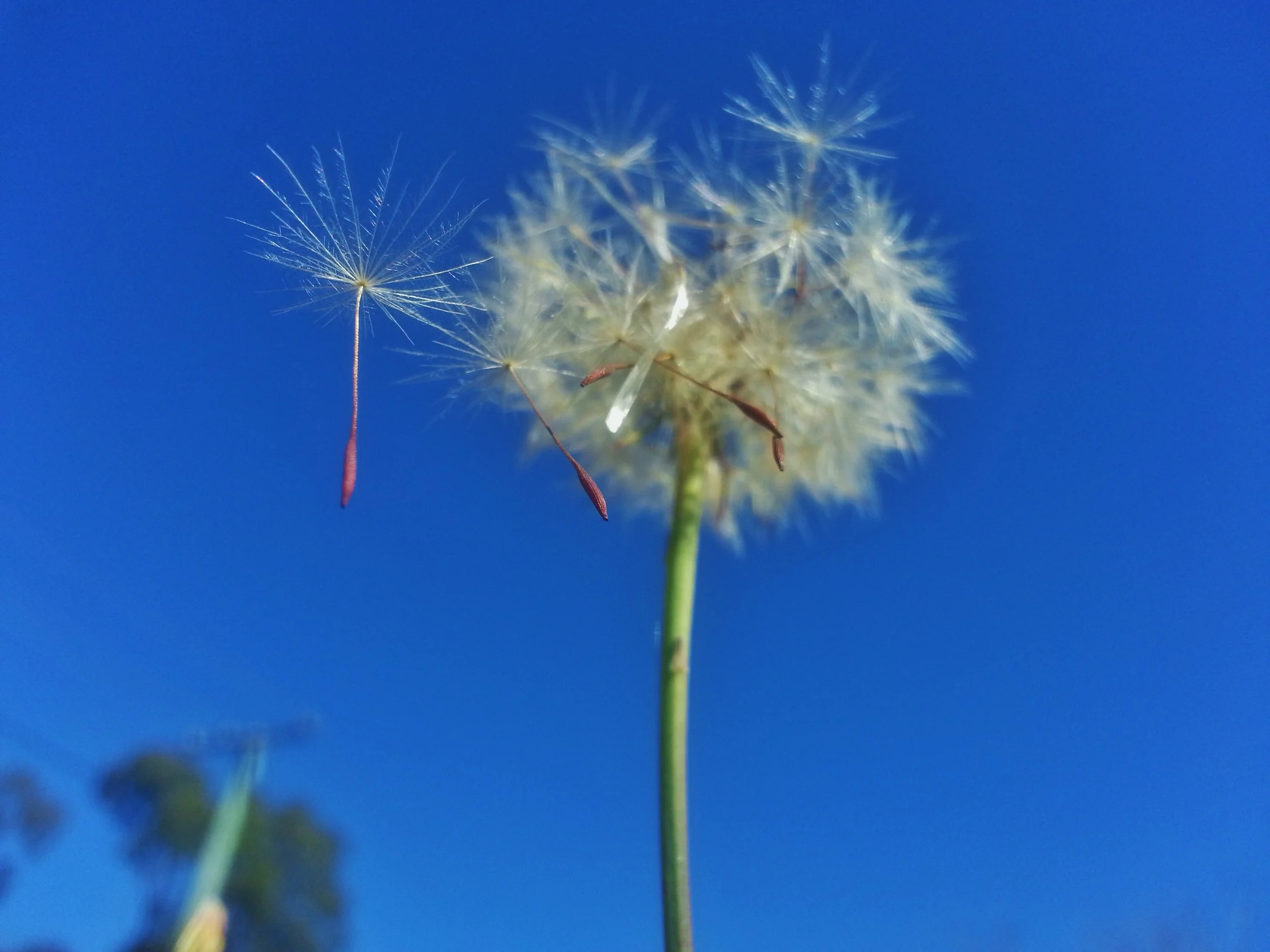 sometimes letting go is the hardest part