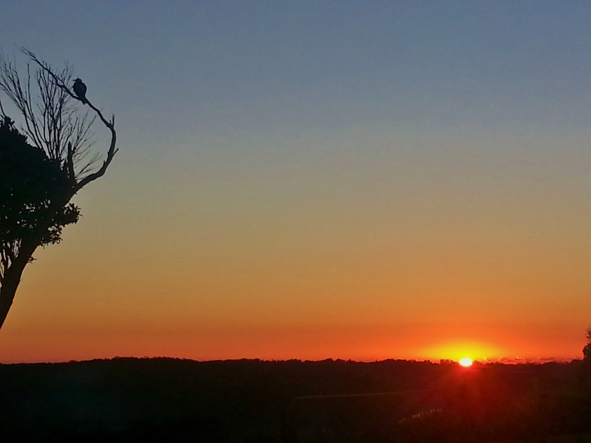 20130806_062423.jpg