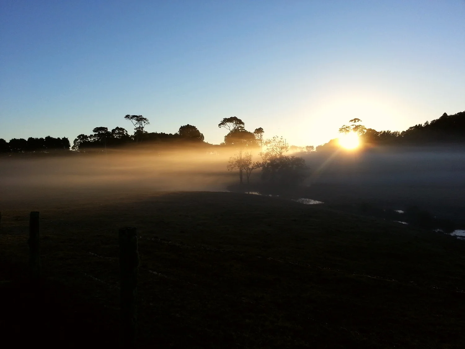 dispersing in the morning mist
