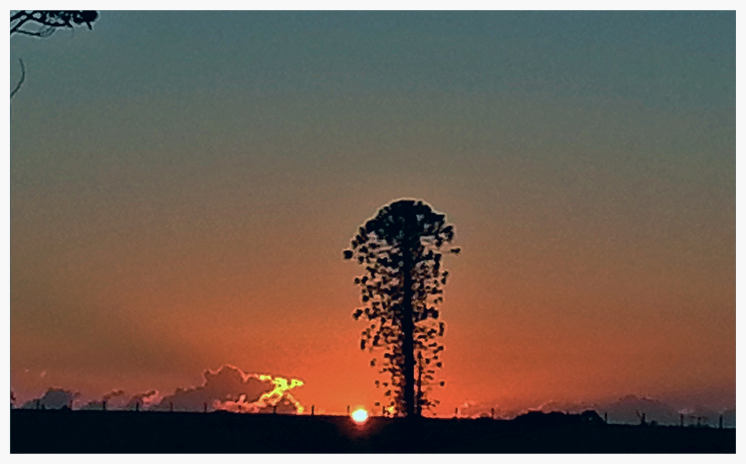 manifesto poem by sue moxon