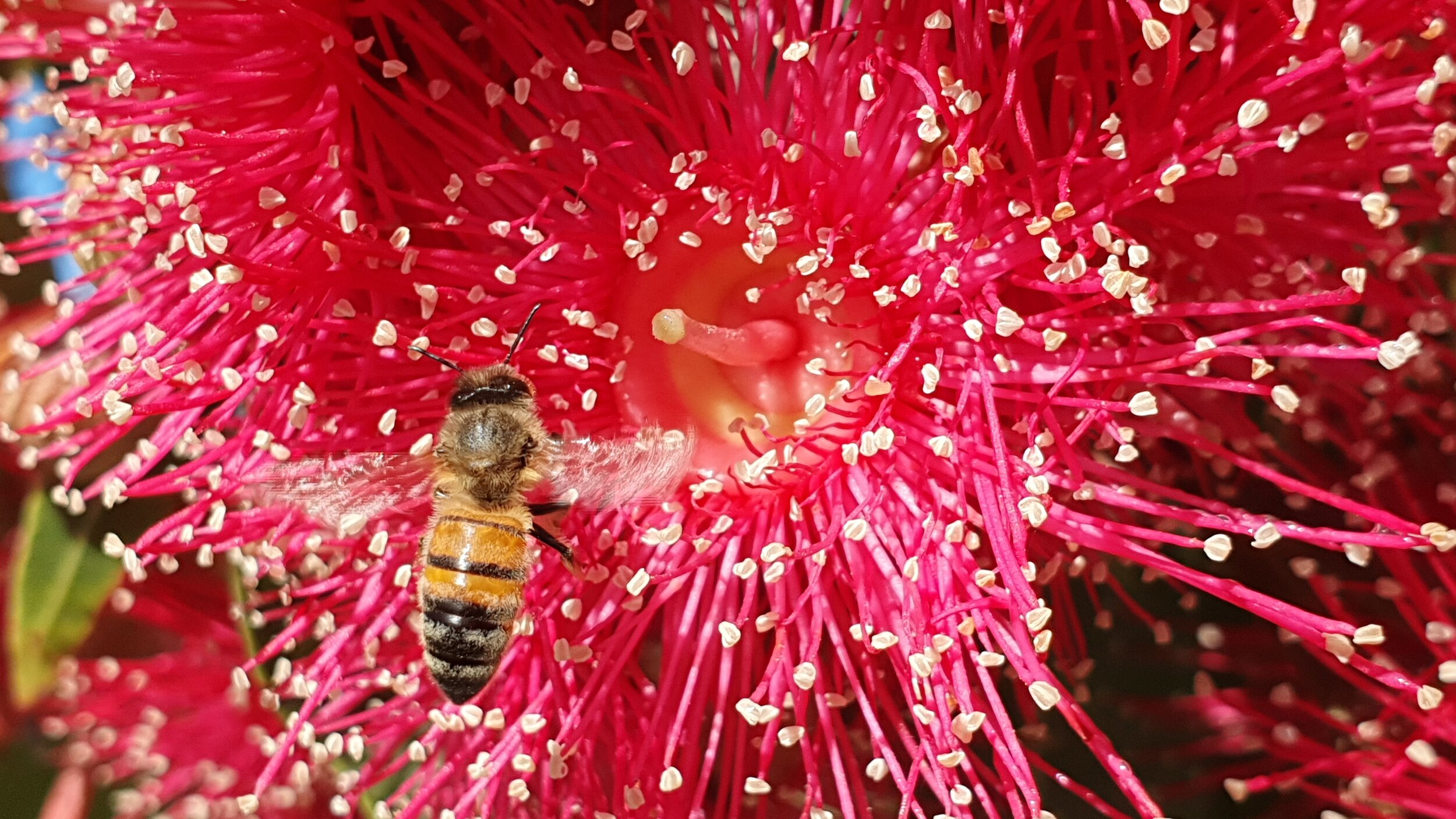 20190509_091141_004_saved.jpg