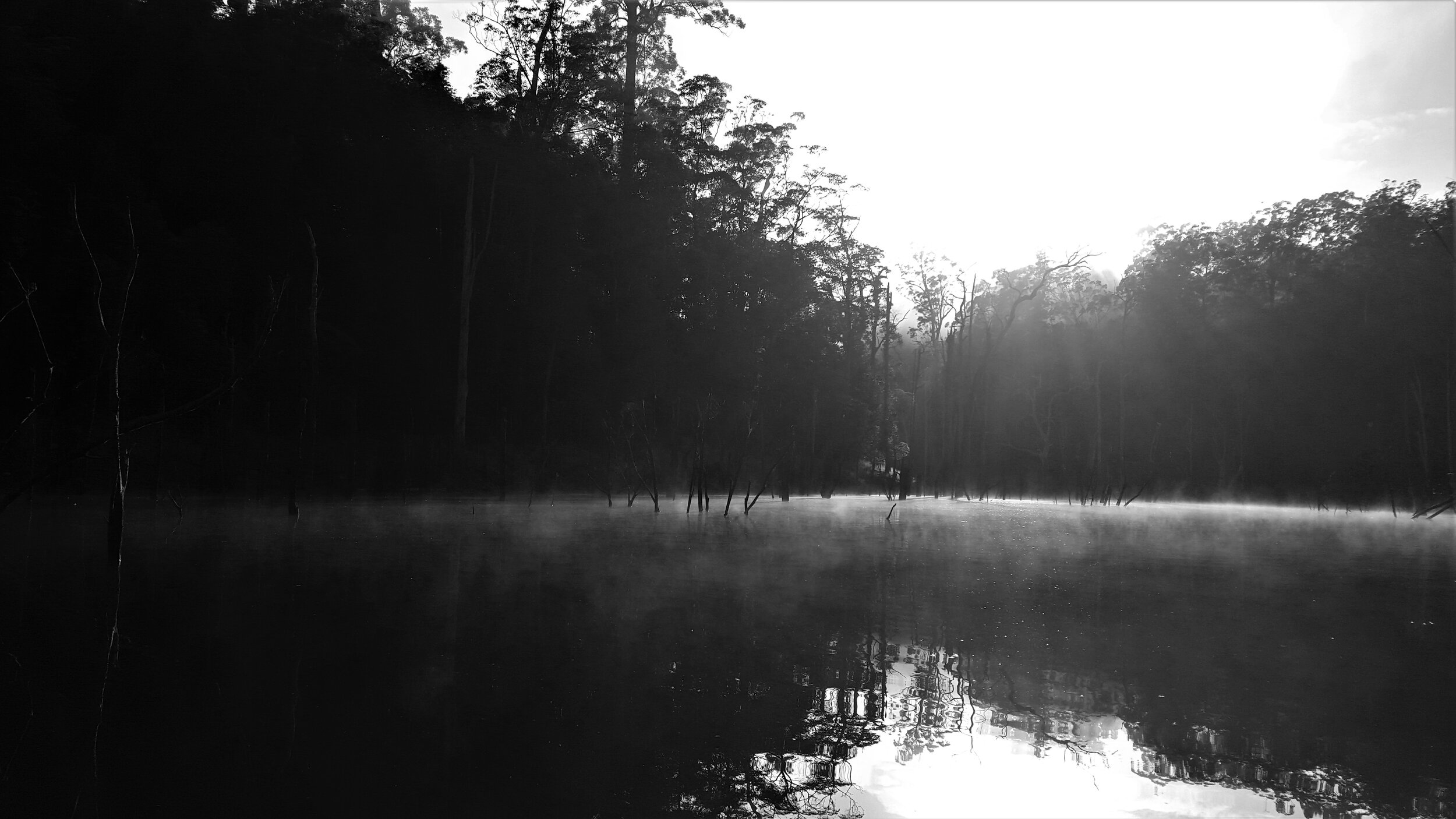 early morning mist on mysterious water B&W sue moxon.jpg