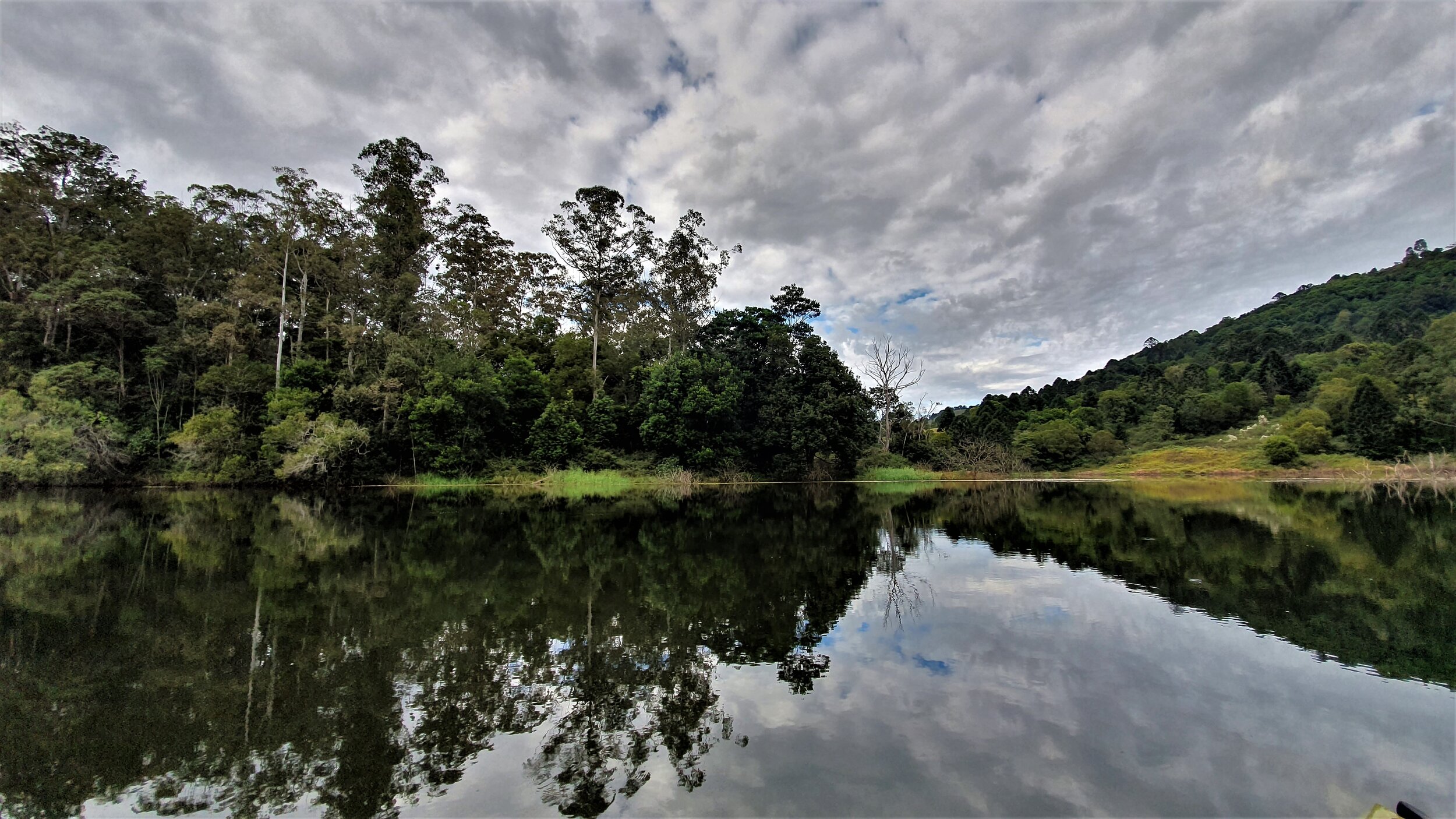 reflections captured in still water sue moxon.jpg