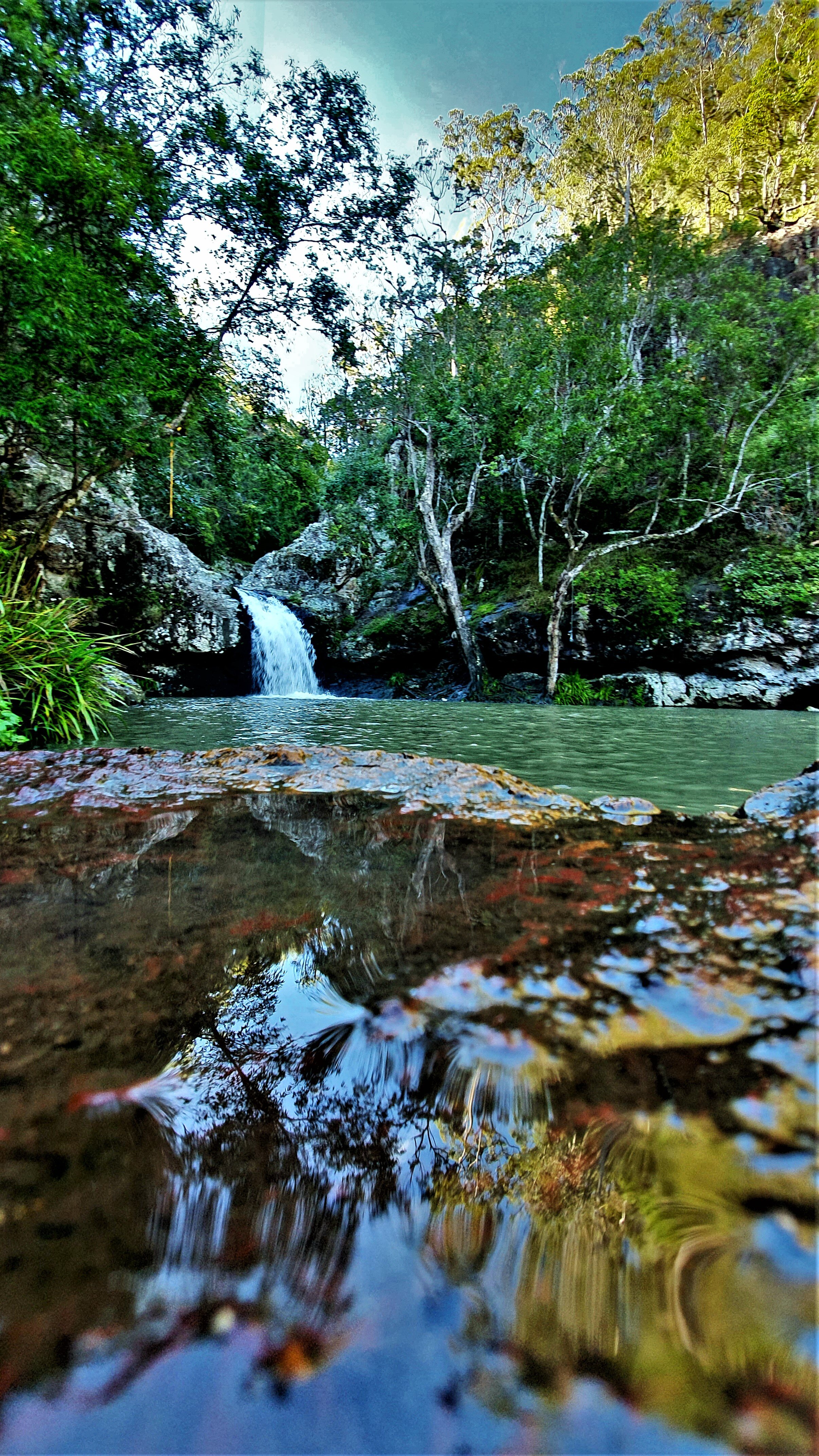 waterfall reflections sue moxon.jpg