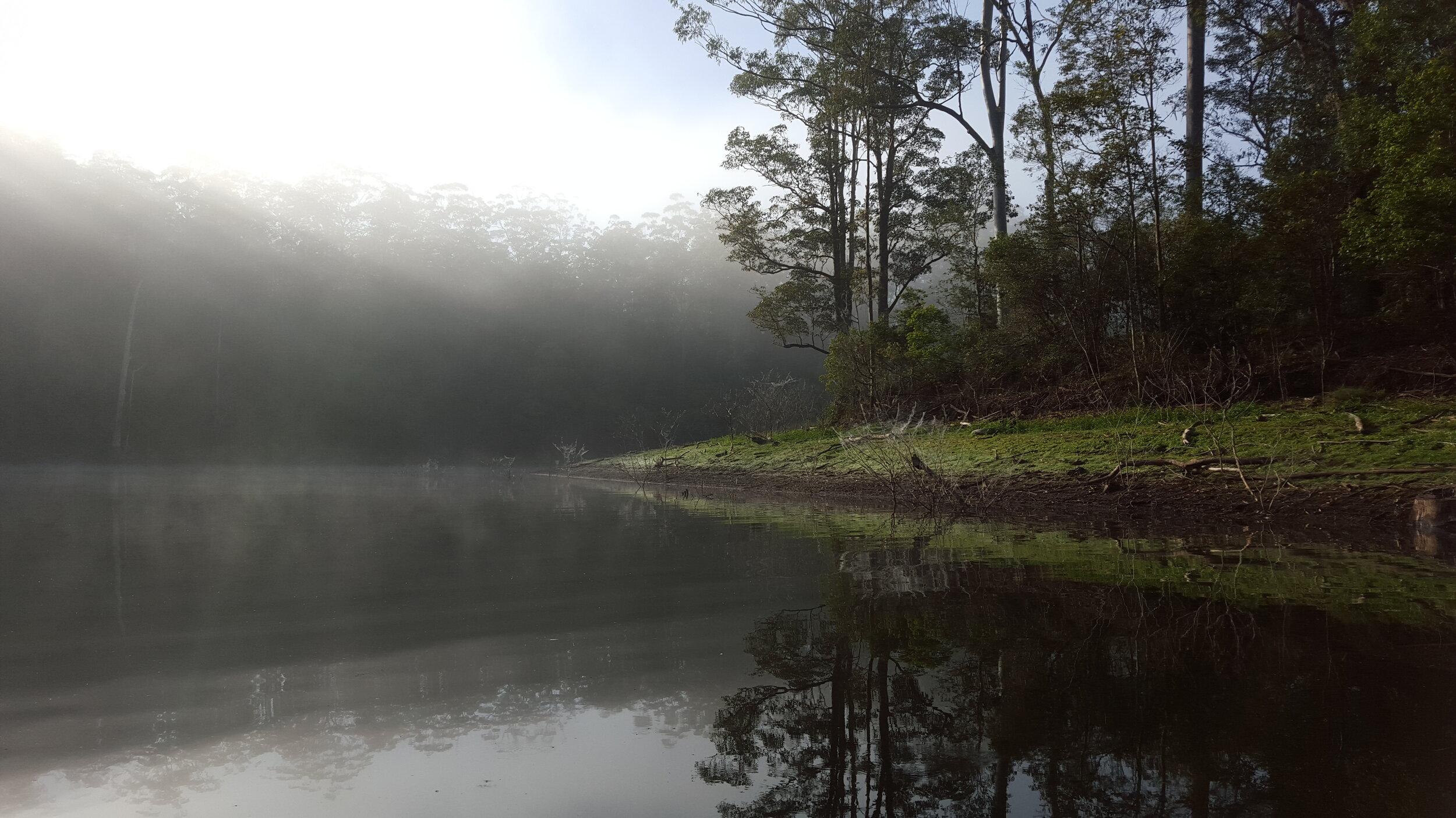 MISTY REFLECTIONS