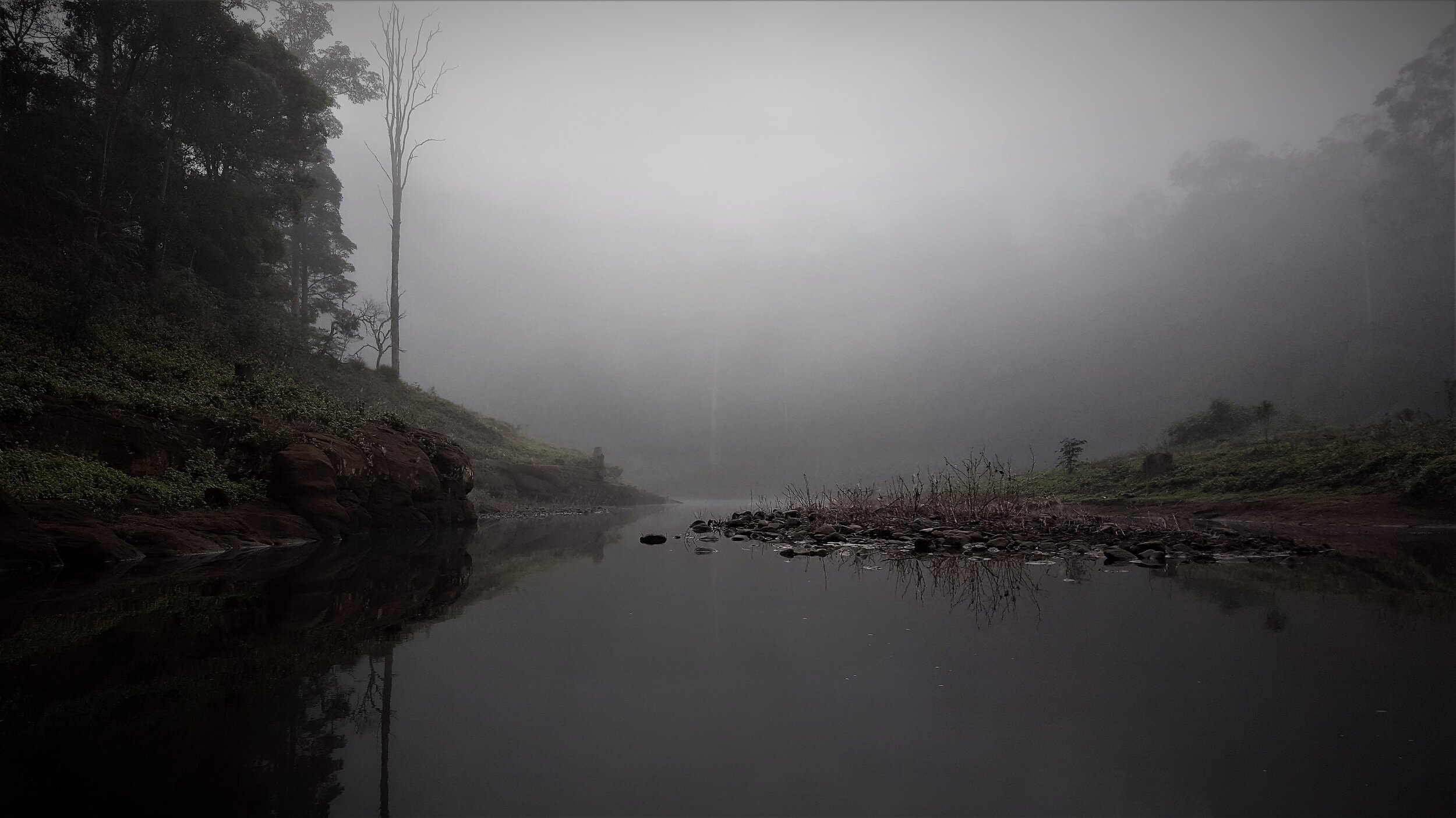 STILL LAKE, MISTY MORNING 