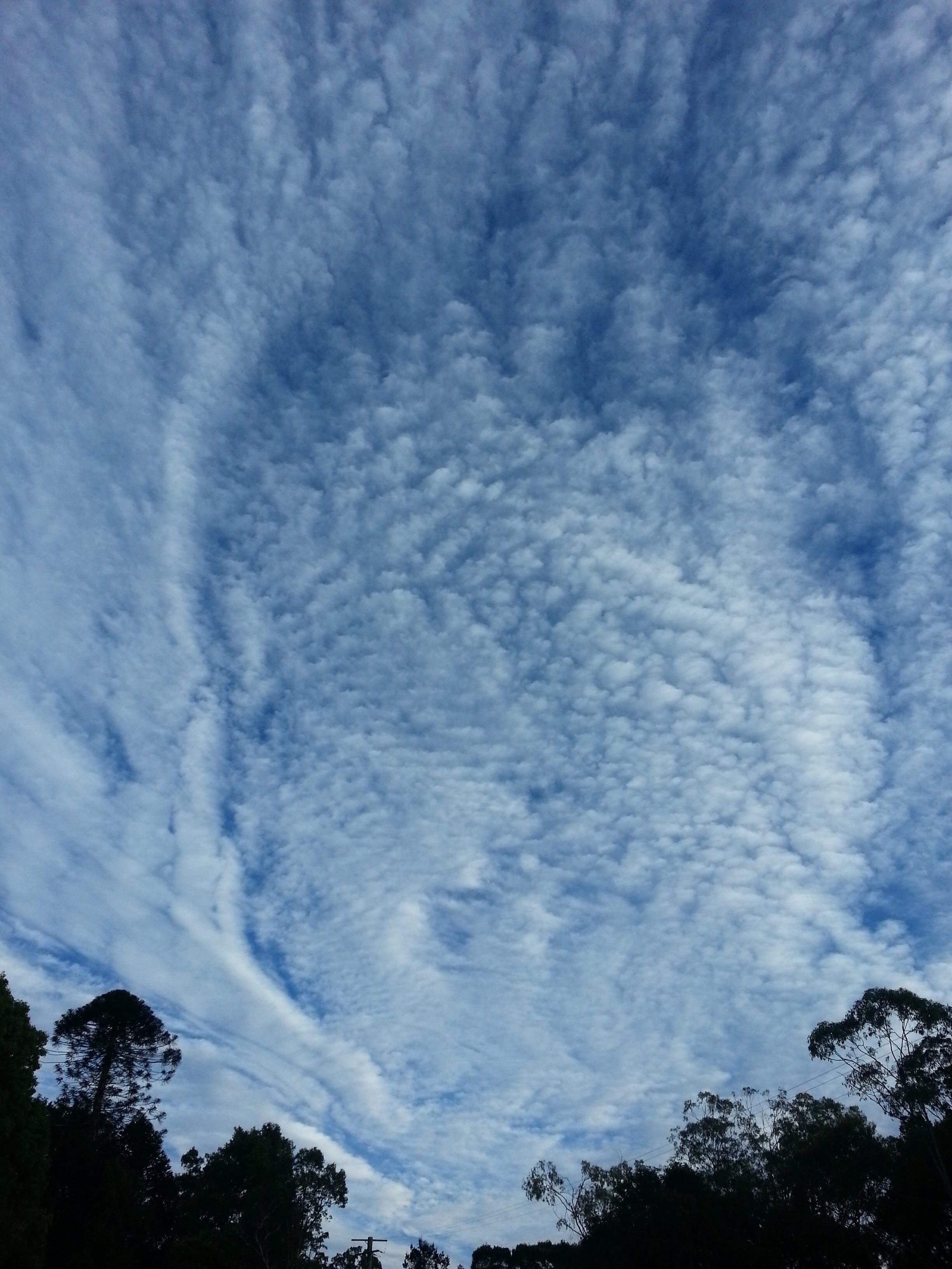 CLOUD CIRCLE