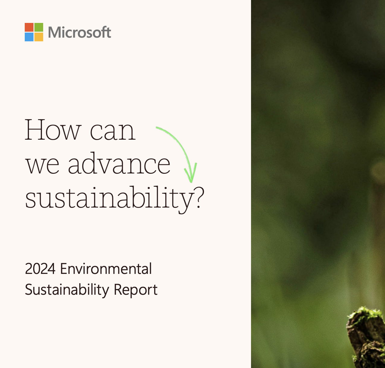 '24 Microsoft Environmental Sustainability Report / Contributor & Editor 