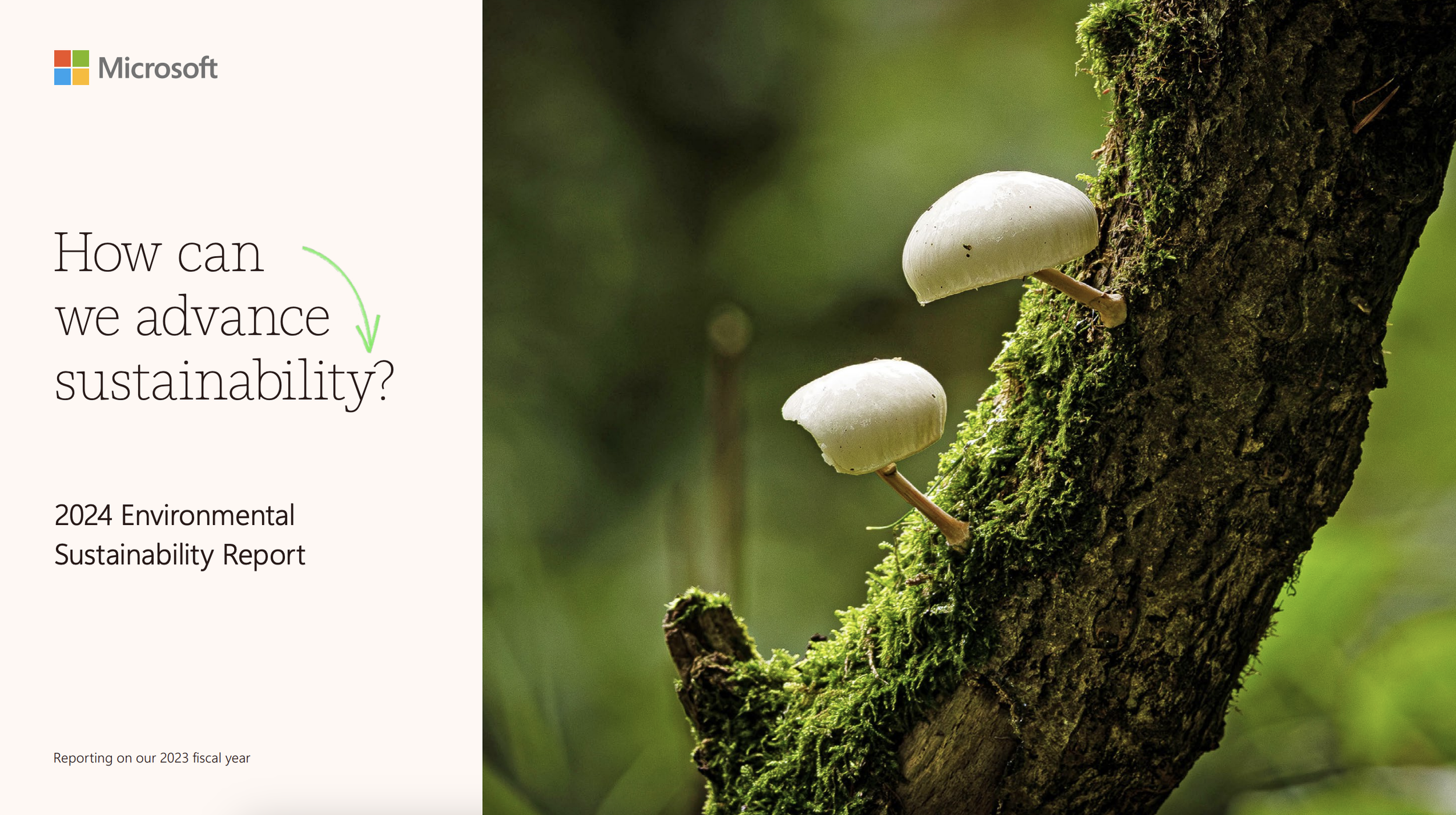  Microsoft 2024 Environmental Sustainability Report   Principal Director, Design for Sustainability & Contributing Editor   Report Link  