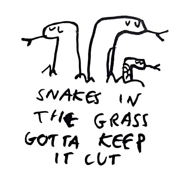 snakes in grass.jpg