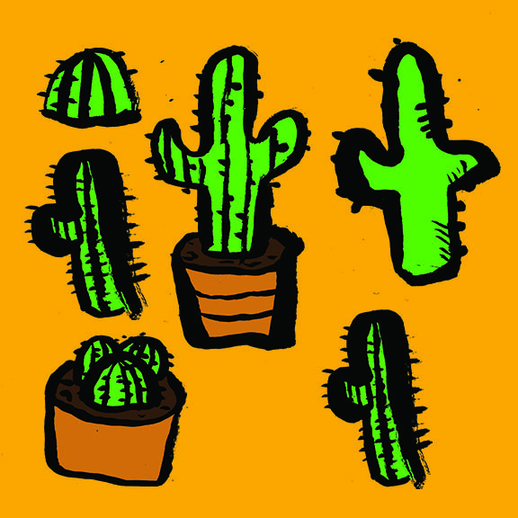 group of cactus.jpg