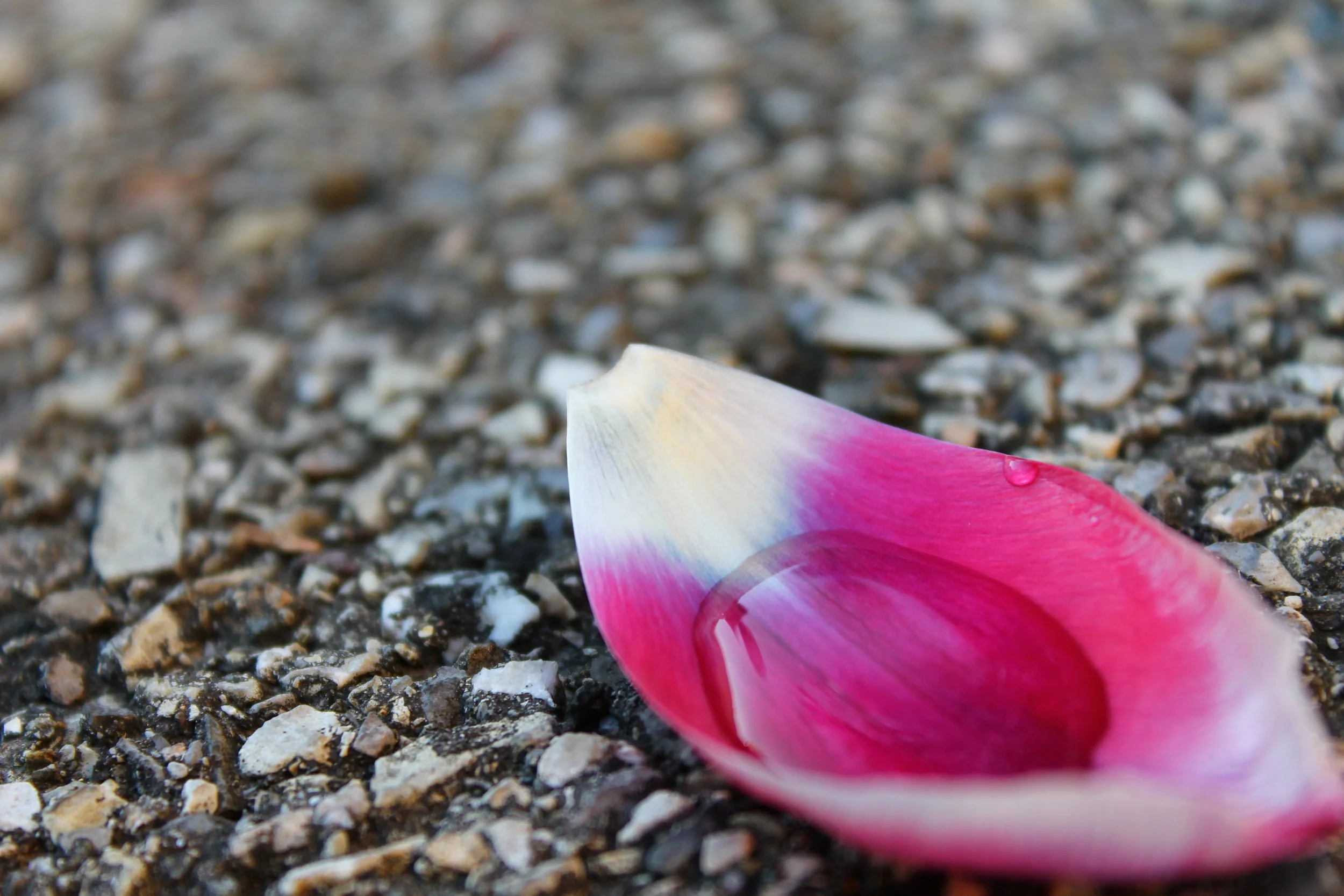 Falling Short & Stepping Forward