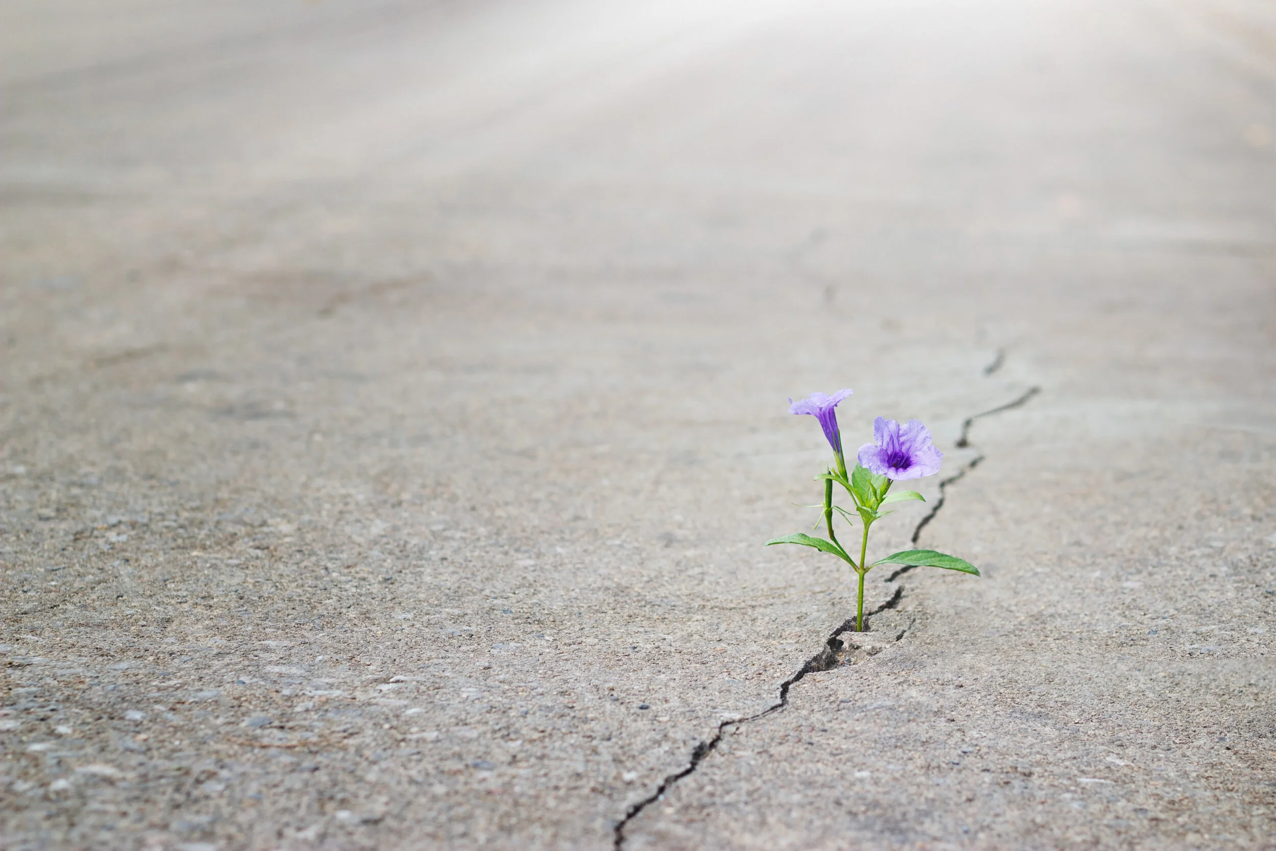 The Myth of Failure