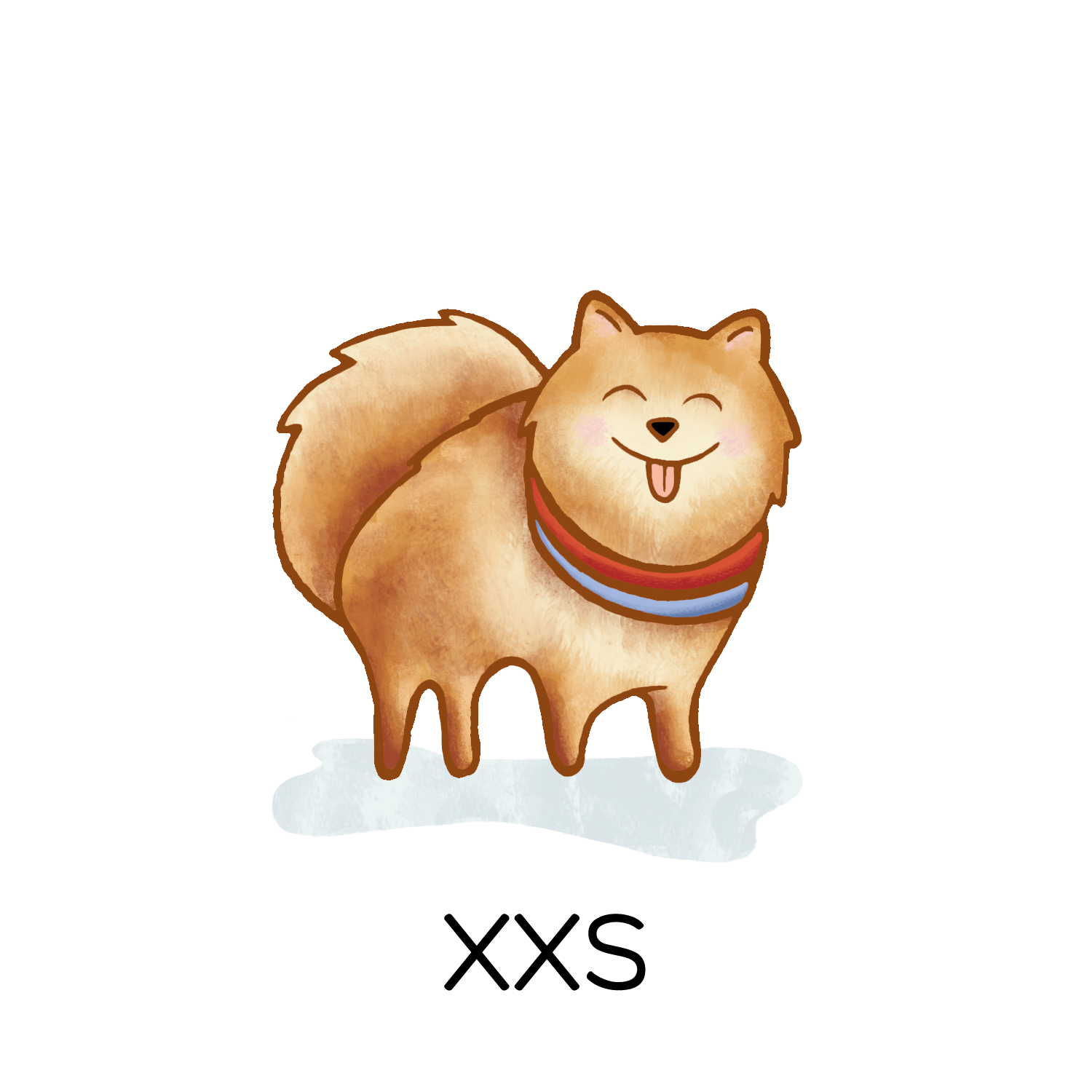 Brussels Griffon, Maltese, Pomeranian, Teacup Poodle