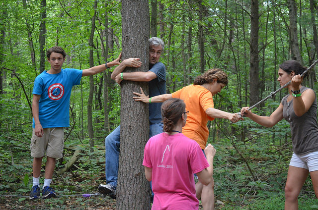 5. That tree is not getting away.