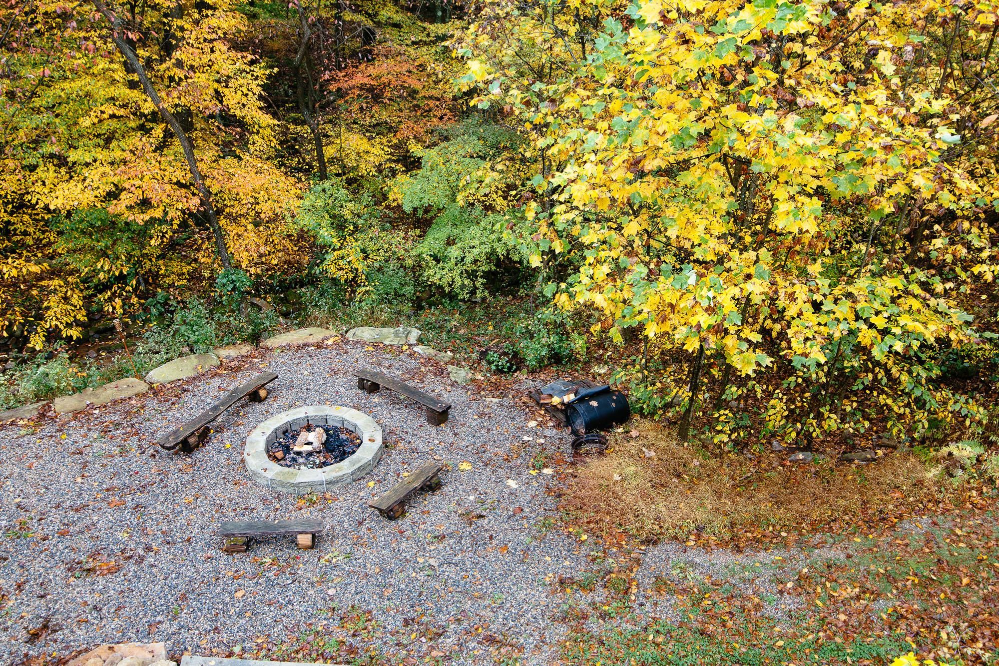 9. Sylvan Fire Ring (Again)