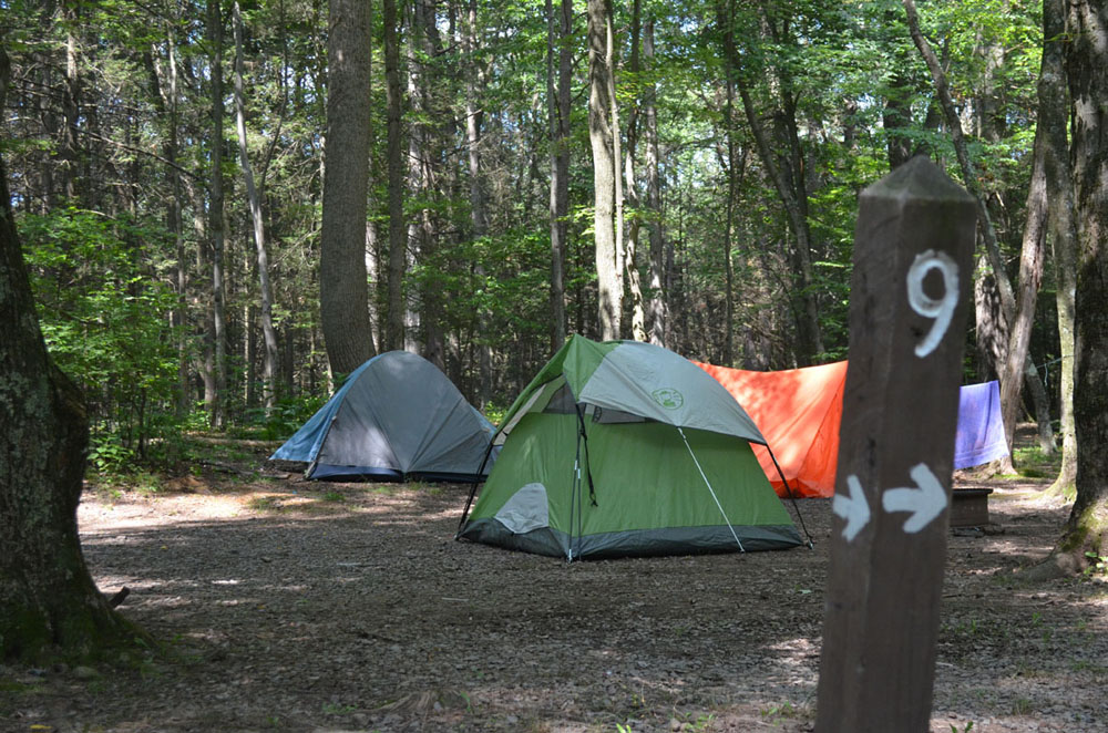 Family Camps Camp Hebron