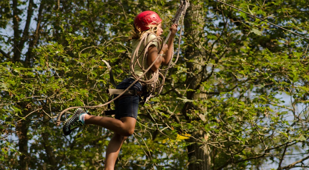 Zipline