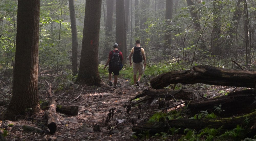 Hiking Trails