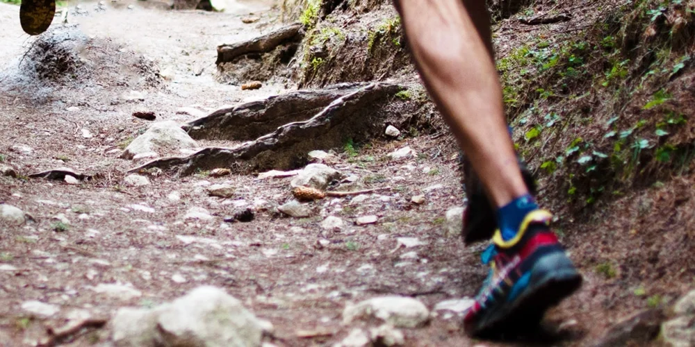 trailrun.jpg