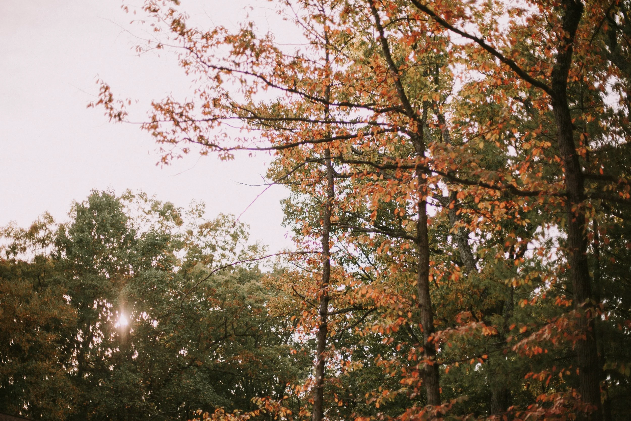 Our Team Camp Hebron