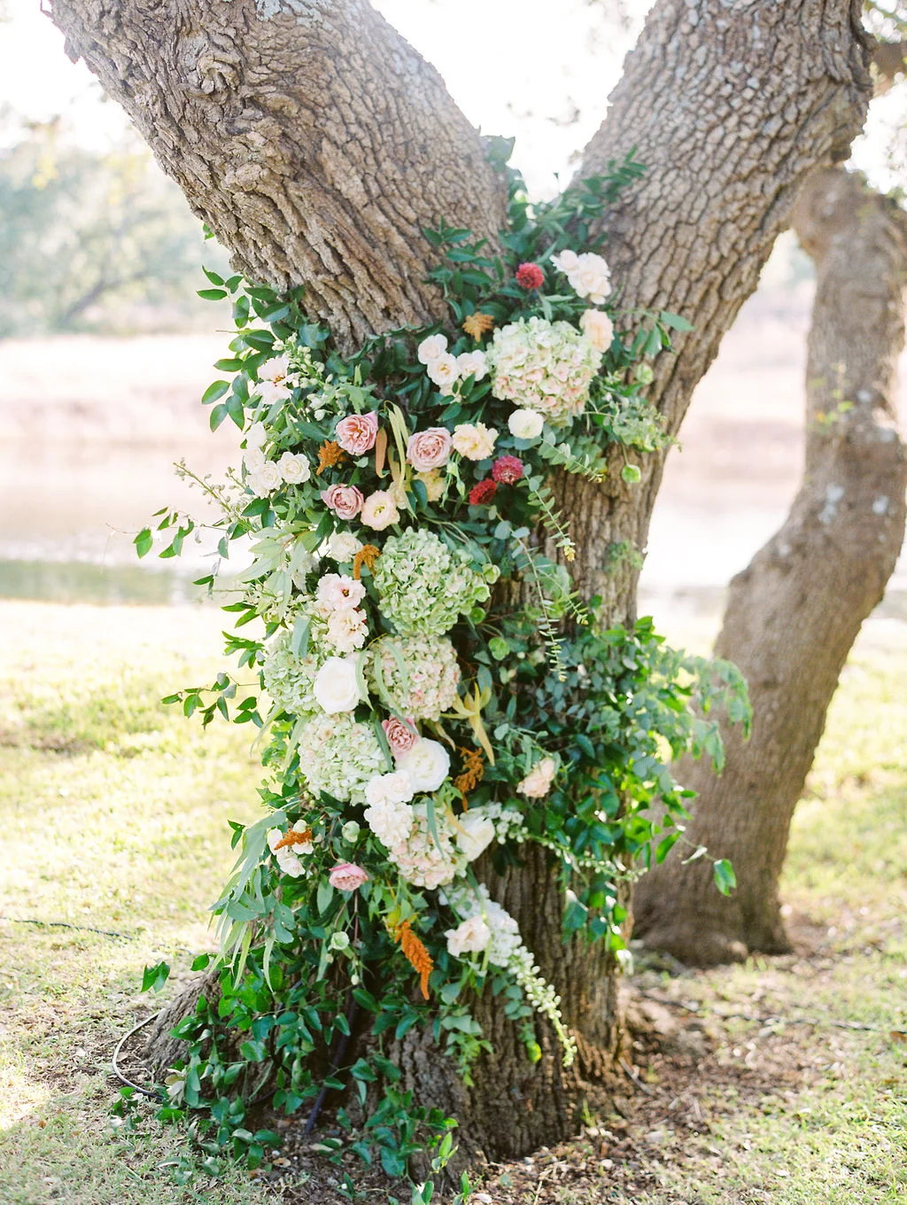 Austin-Texas-Wedding-Photographer-Addison-Grove-Film-80.jpg