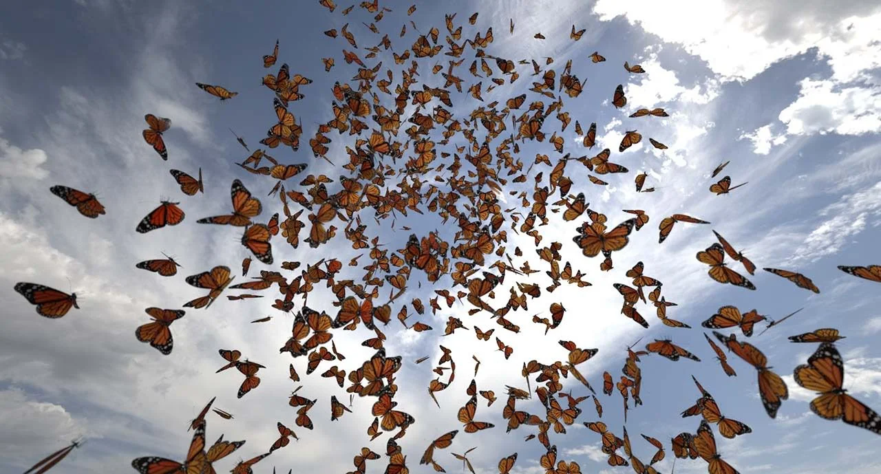 My Pursuit of Sexual Freedom!