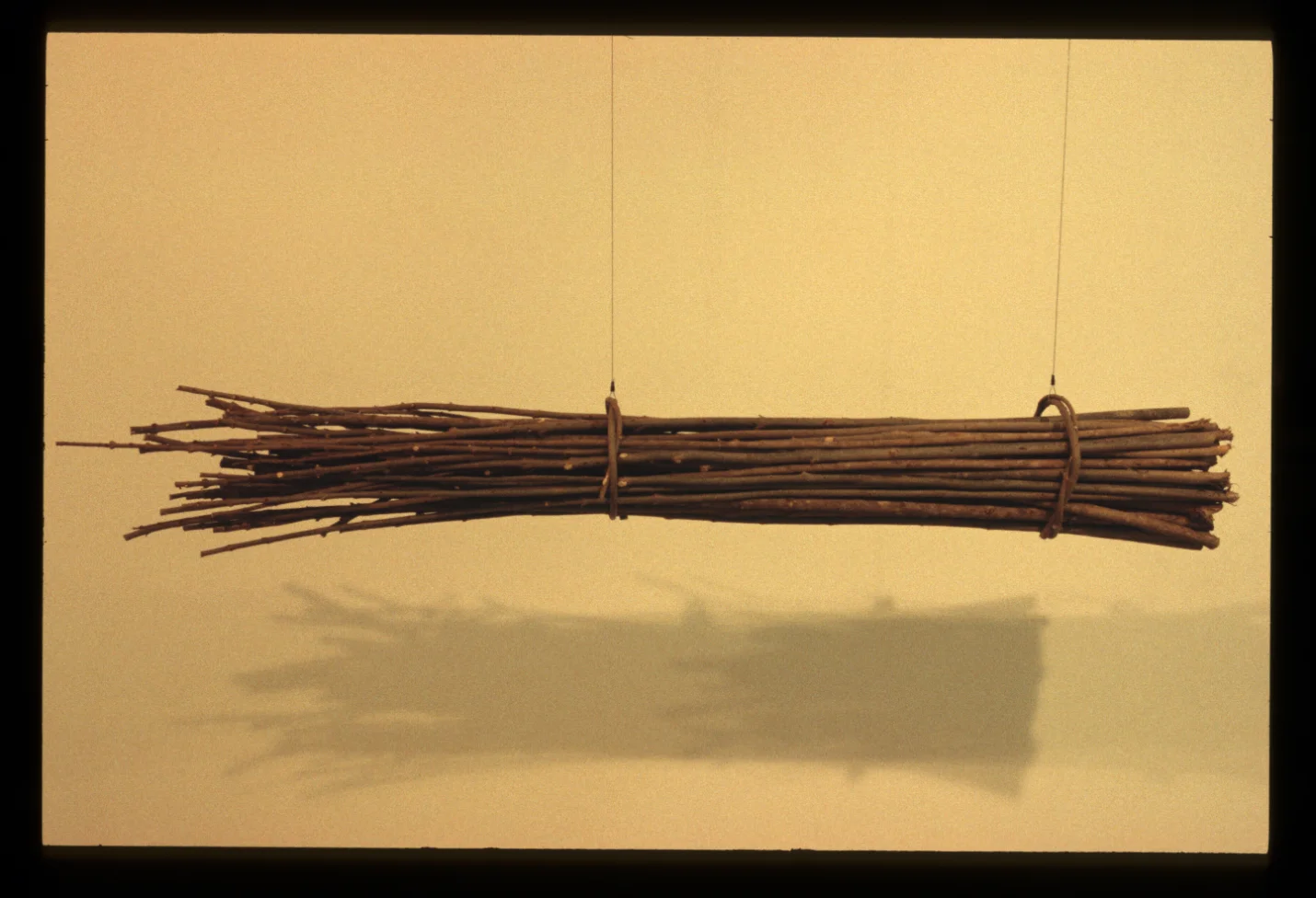 I Pani ke te Whenua, 1995