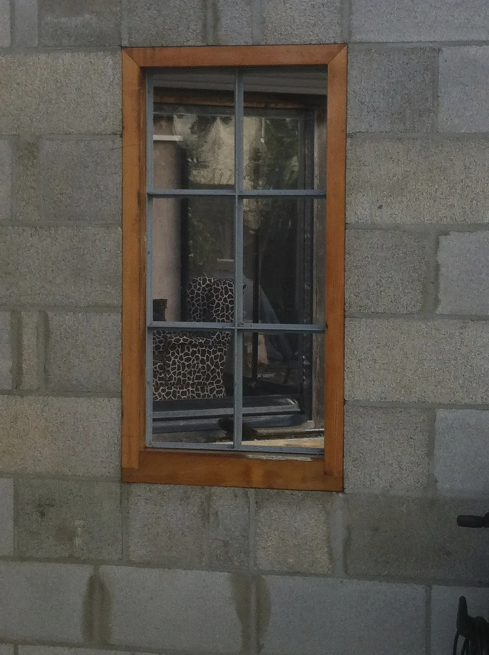 IMG_2534.jpg